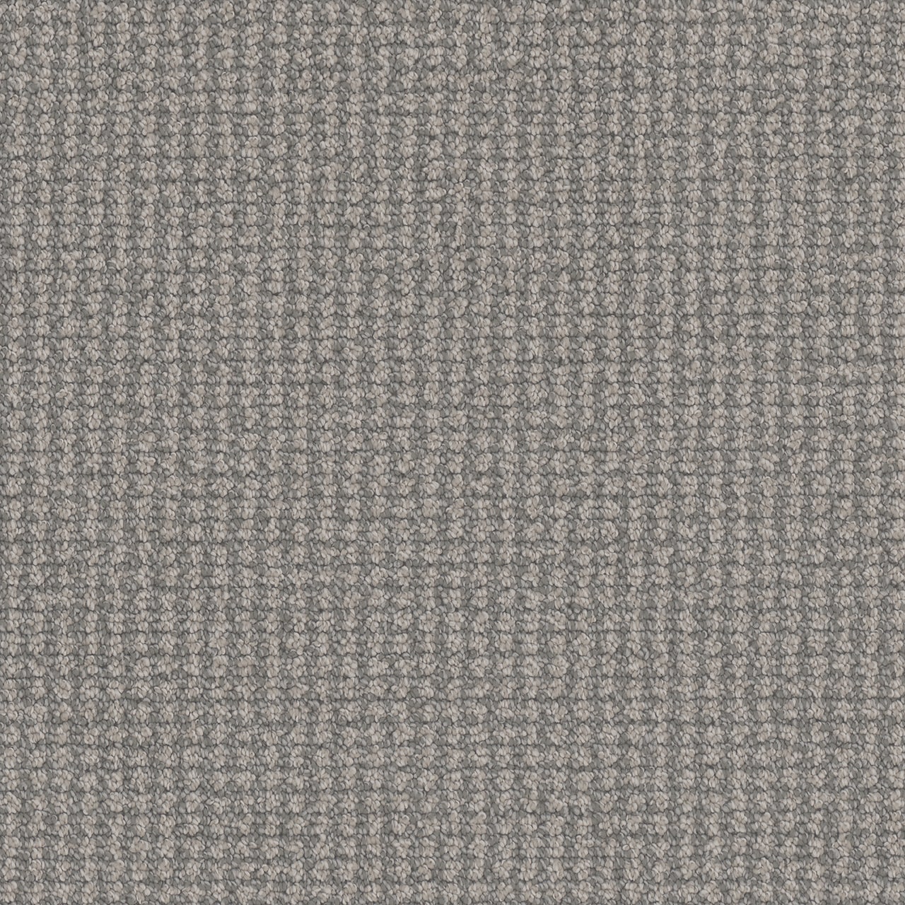 STAINMASTER L5004-3002-0808 (Sample) Aurora Hills Hampshire Gray 35-oz sq yard Solution-dyed polyester Pattern Indoor Carpet