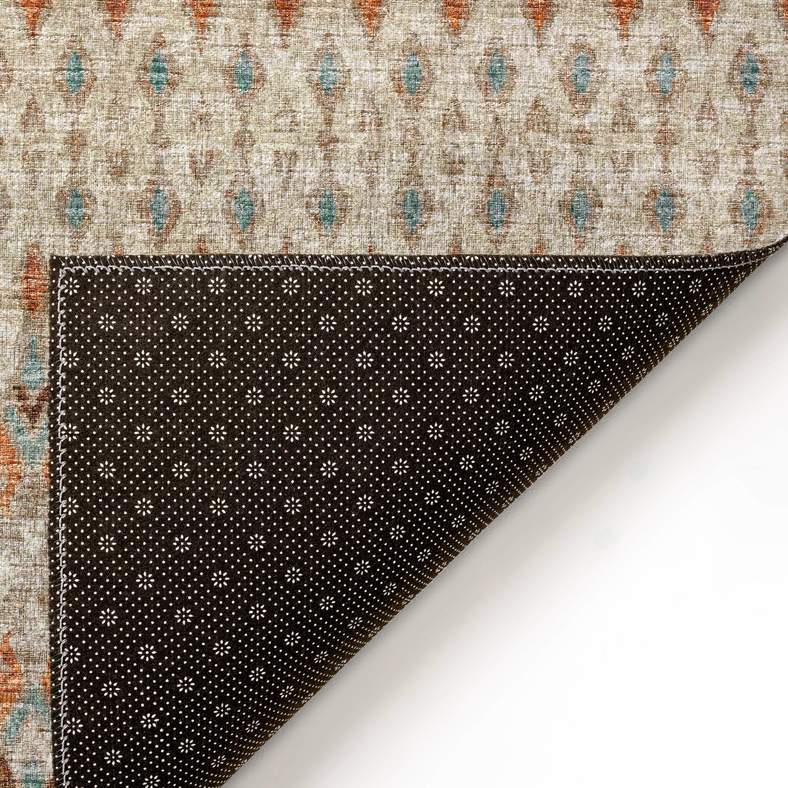 Addison Rugs ABV31CA20X30 rugs - View #5