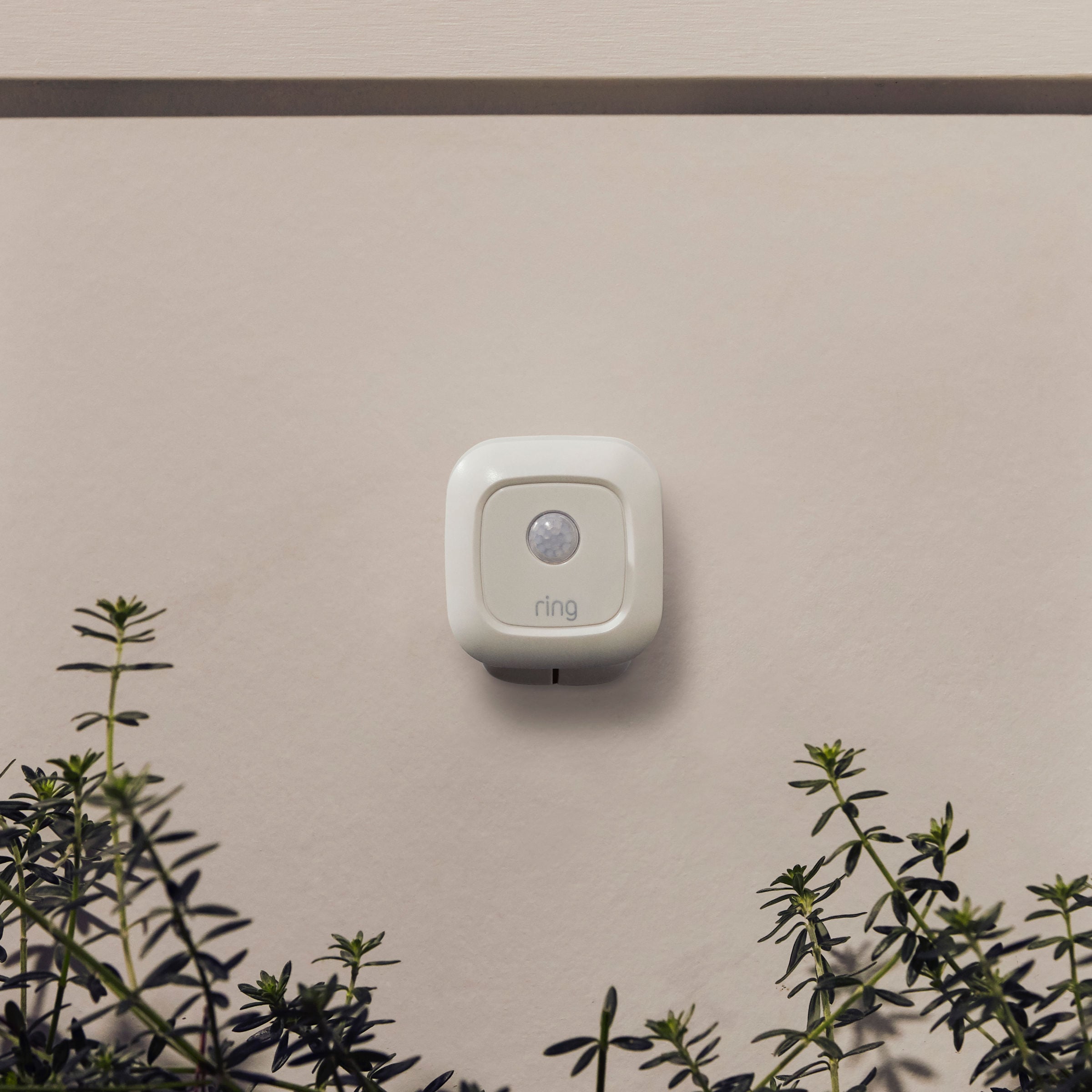 Ring 5SM1S8-WEN0 Security-Motion-Detector - View #2