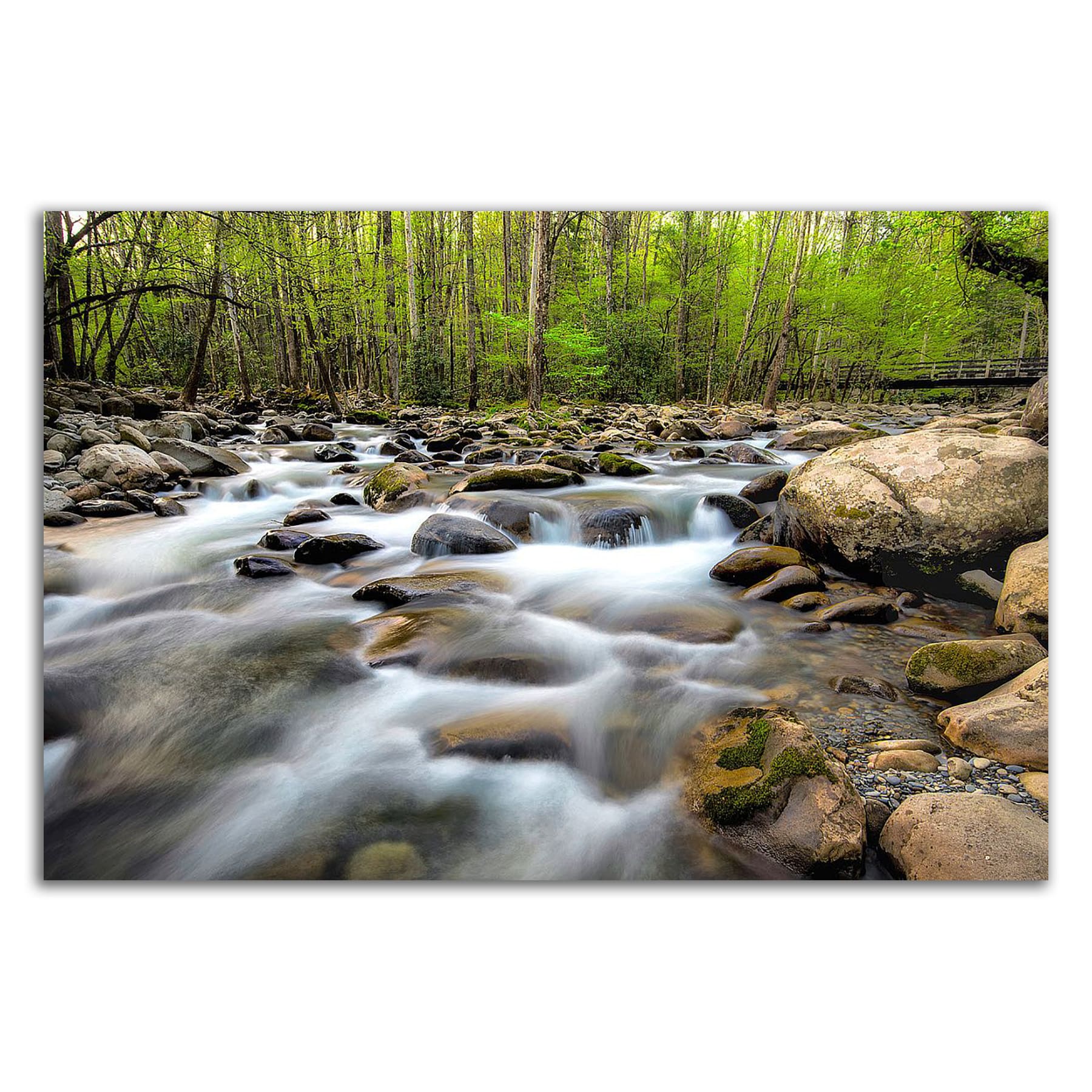 Tangletown Fine Art 8B3325DC-3624 Wall-Art - View #3