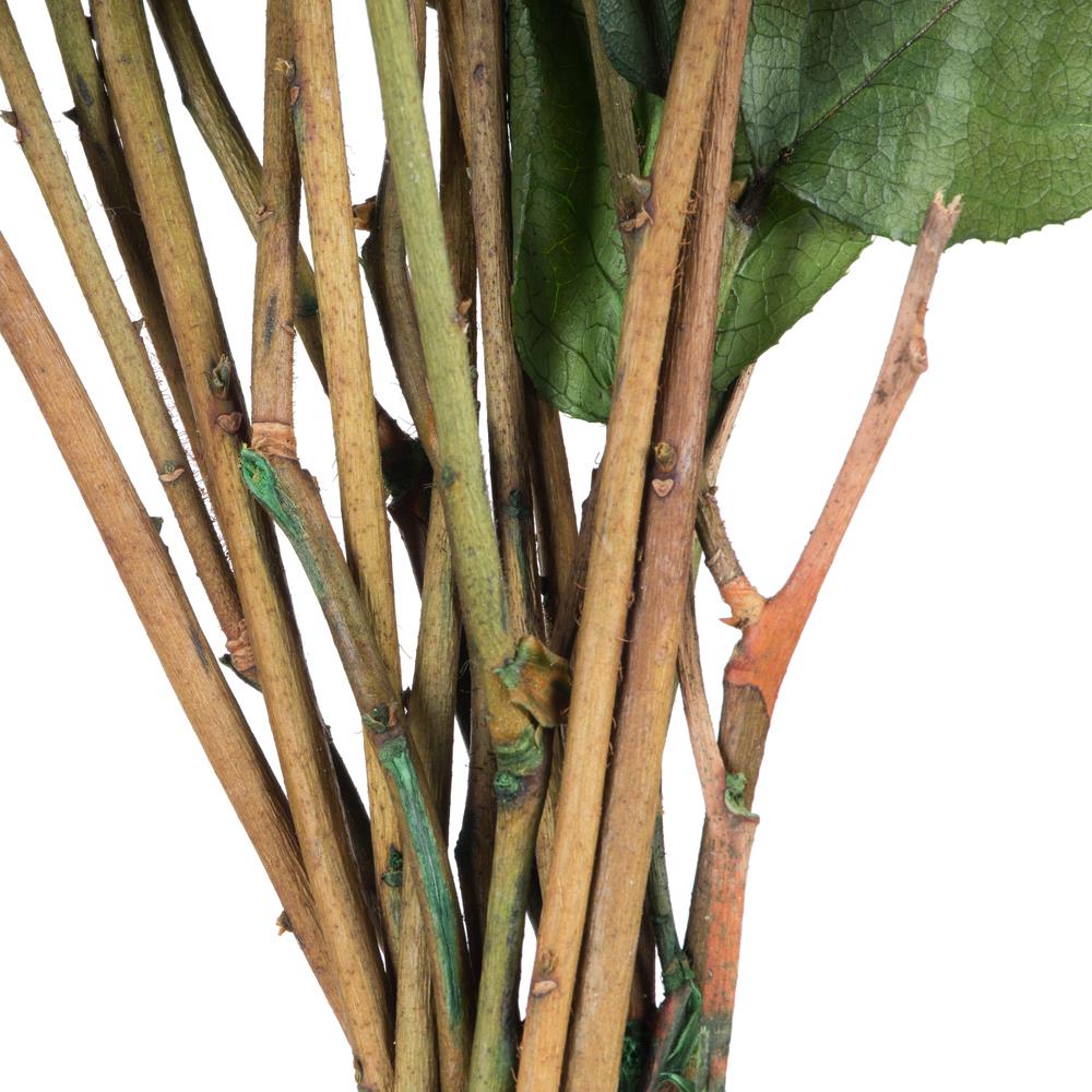 Vickerman H4SAL115 Artificial-Plants-Trees - View #3