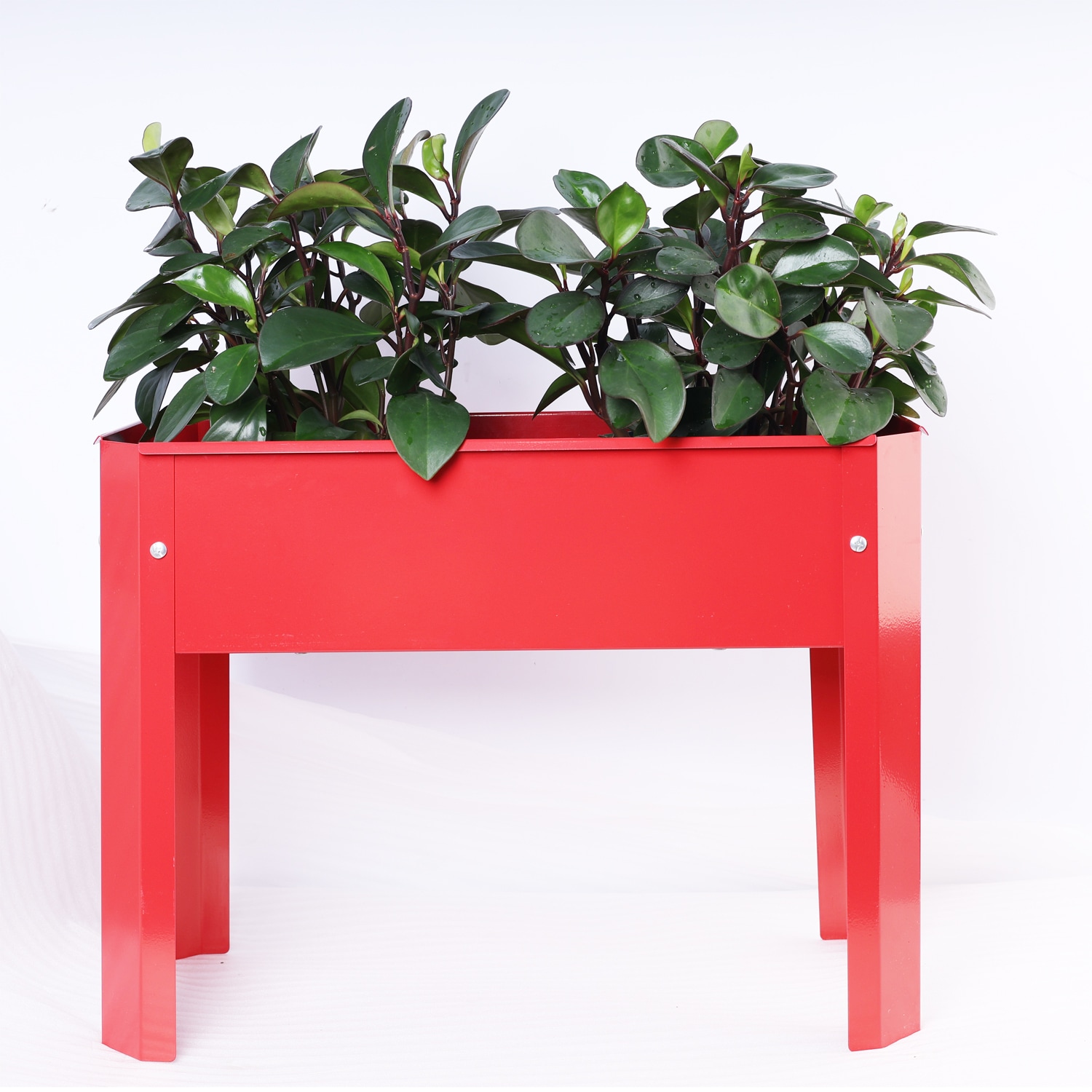 AHIOU HOME ZAAHG-81986GB Raised-Planter-Boxes - View #2
