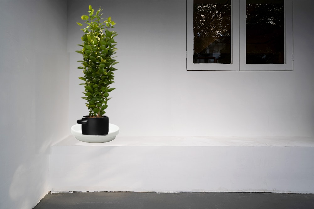 allen + roth CR01043N-04E Planter-Window-Box - View #4