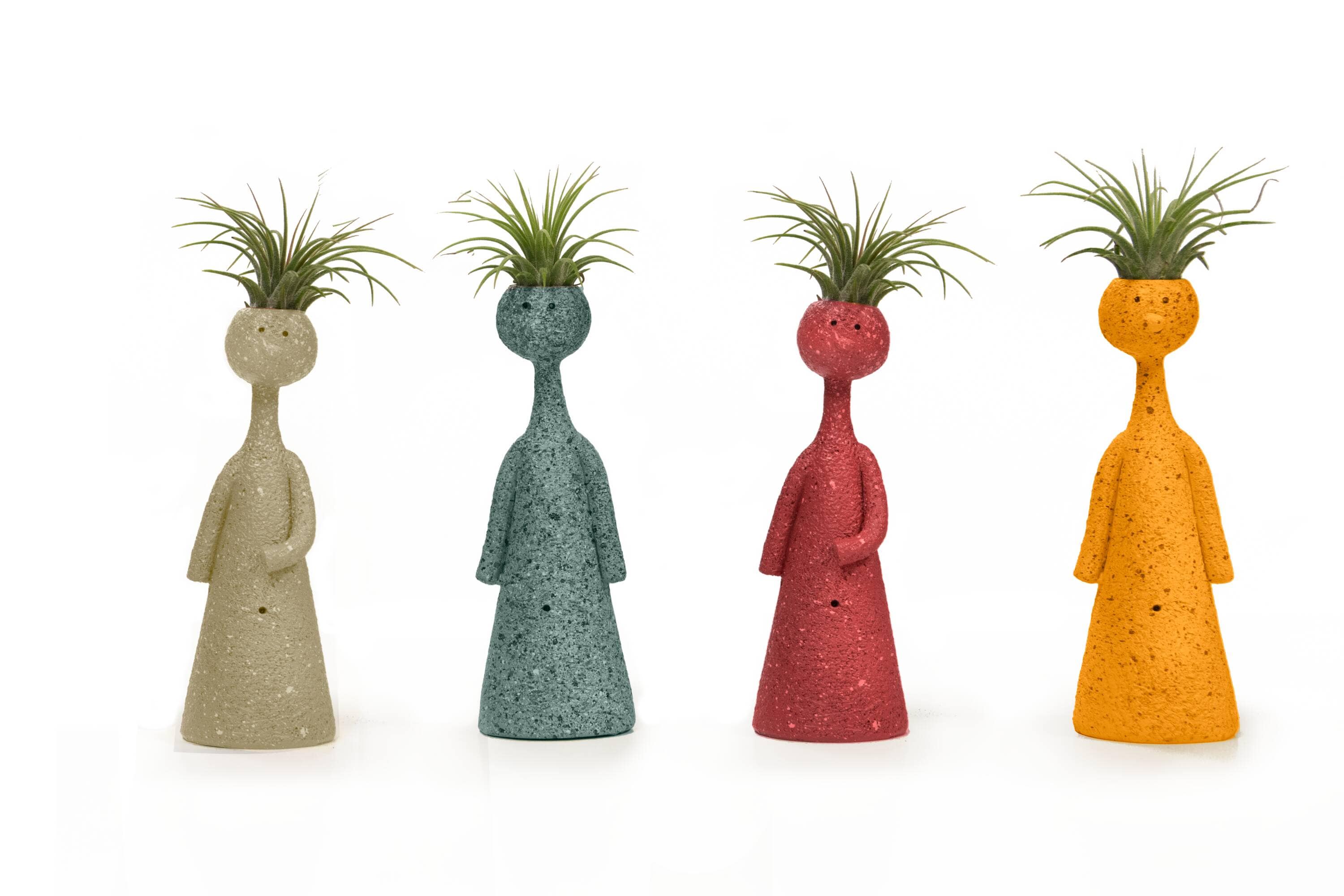LiveTrends ASB06564 Lively Thinkers House plant in 1 -Pack Pot 1 -Pack