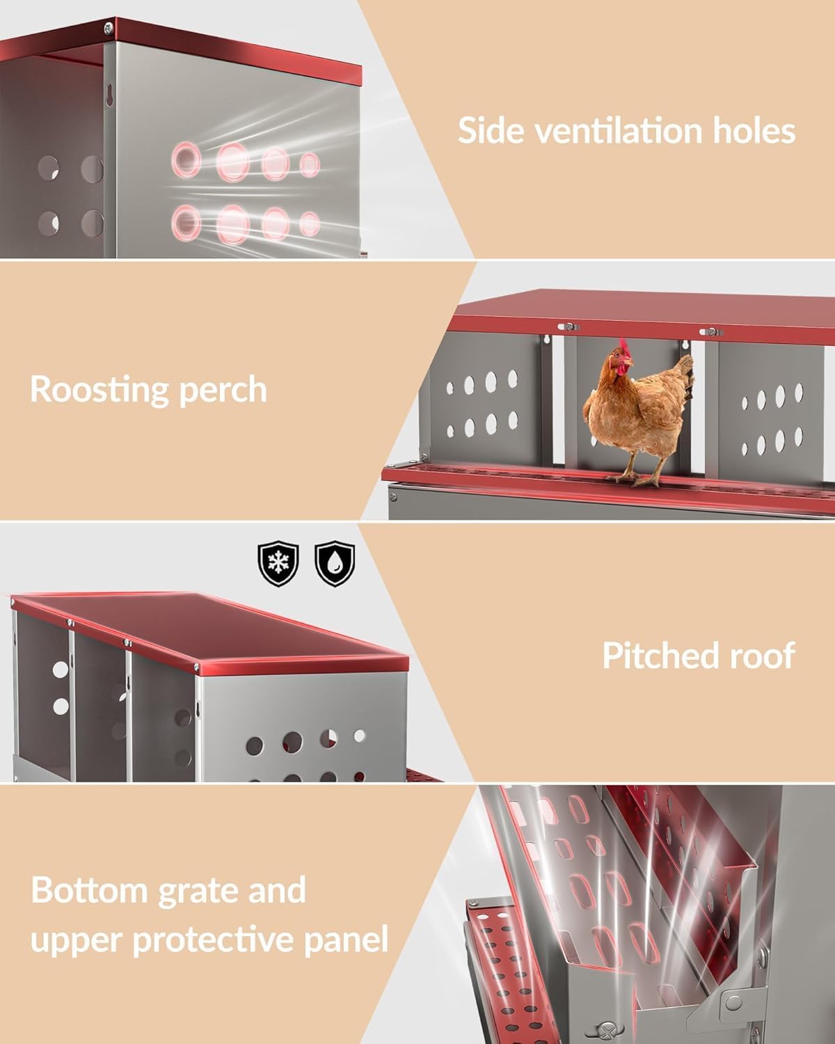 Encore Beets NOVA-67F8Q712F7M Chicken-Coops-Rabbit-Hutches - View #4
