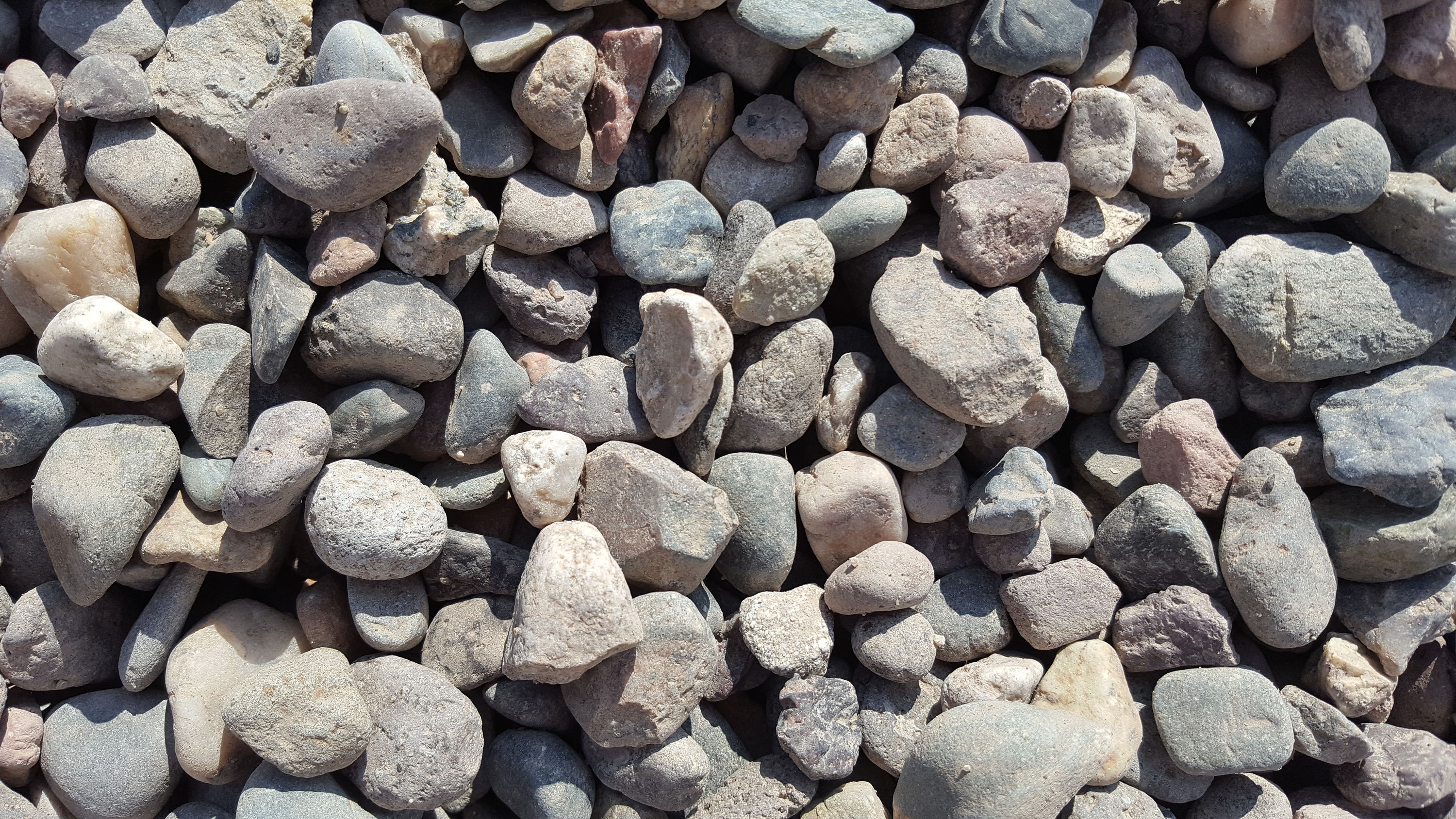 Dyiom 0.1 cu. ft. Multi-Colored Extra Small Gravel 2.5 lbs. 0.2 in.-0.4 in.  Size Landscape Rocks B07SVS372W - The Home Depot