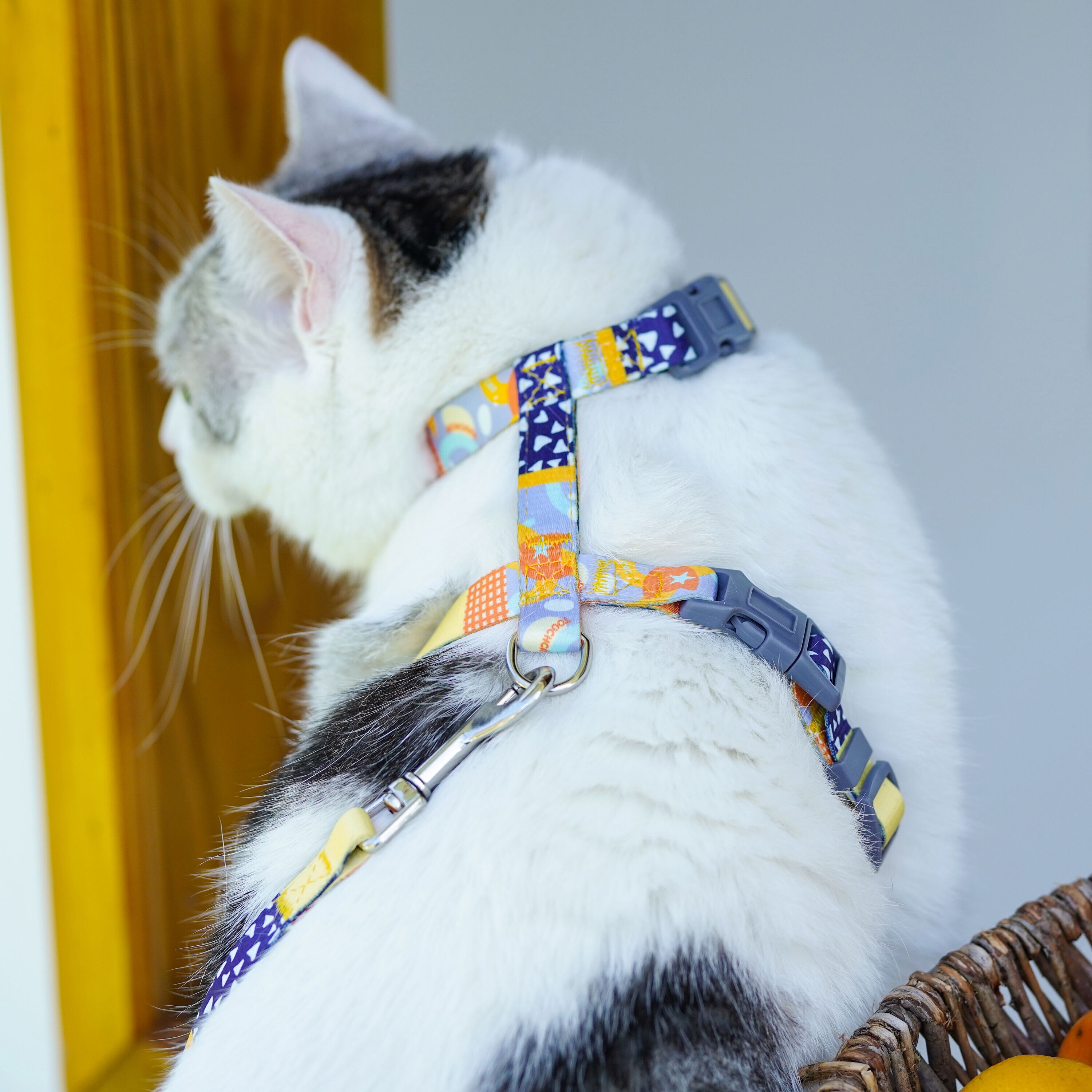 Touchcat CTHA2YLMD Dog-Collars-Harnesses - View #3