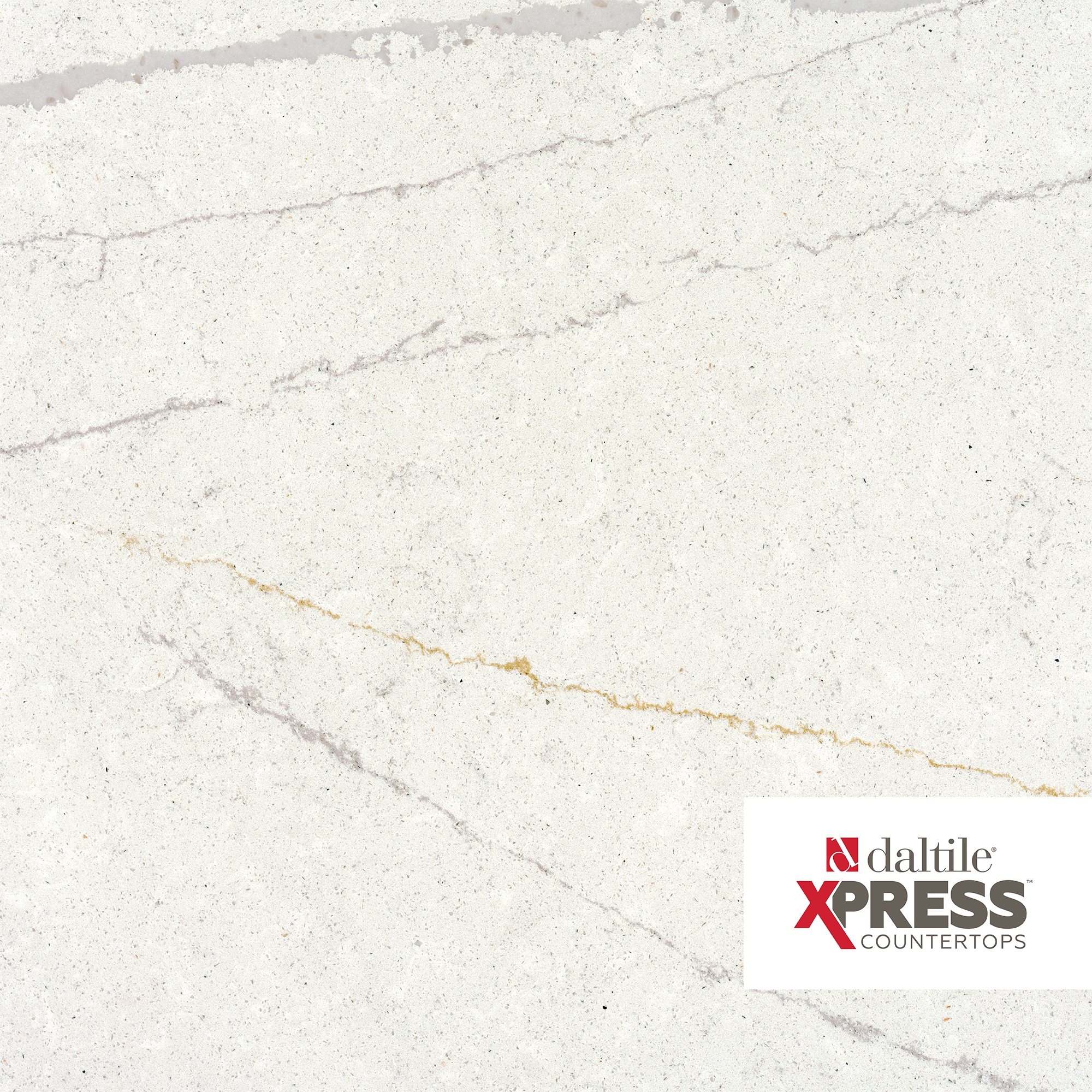 Daltile Monument White Monument White Quartz White Kitchen Countertop SAMPLE ( 4-in x 6-in )