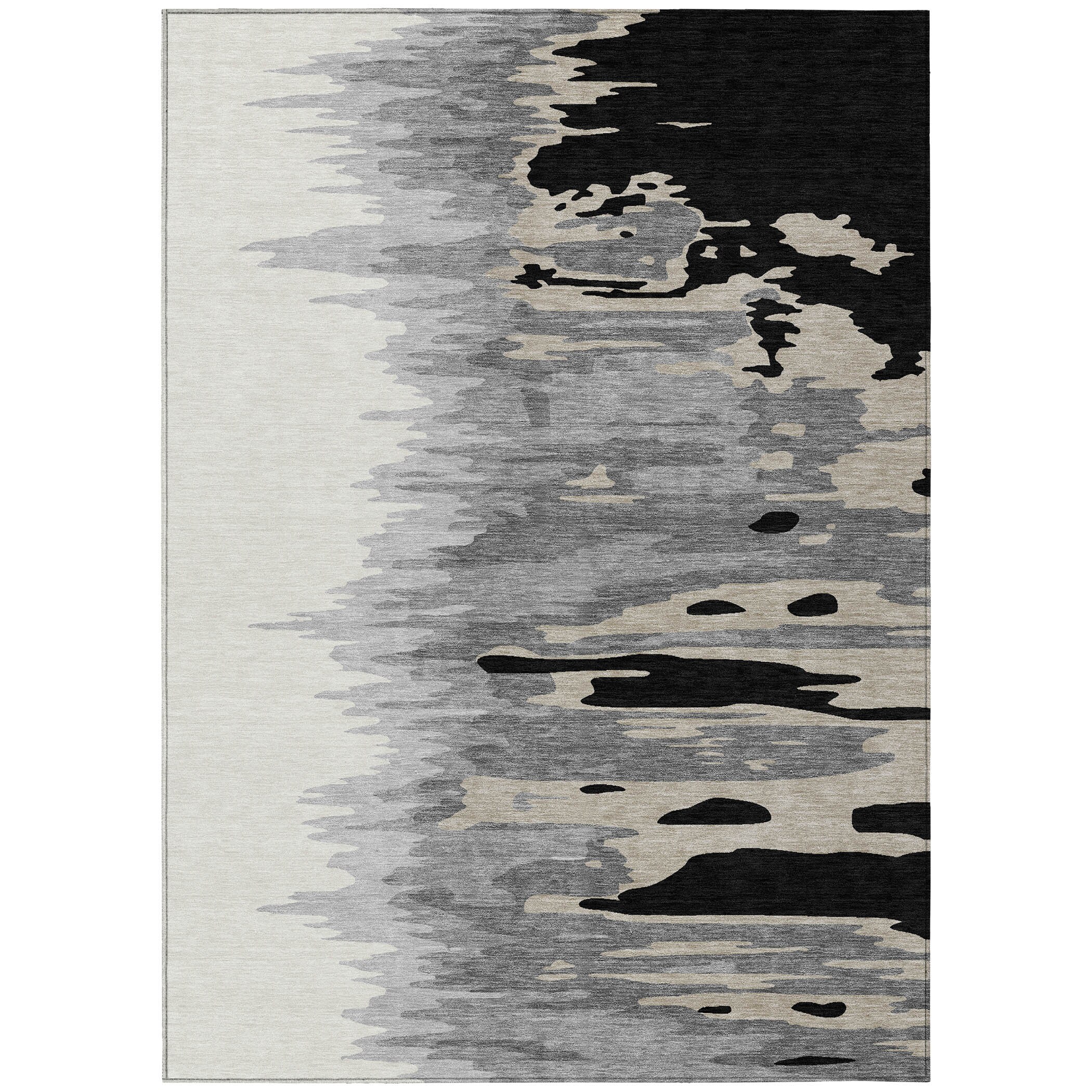 Addison Rugs ACN1050BK30X46 rugs - View #2