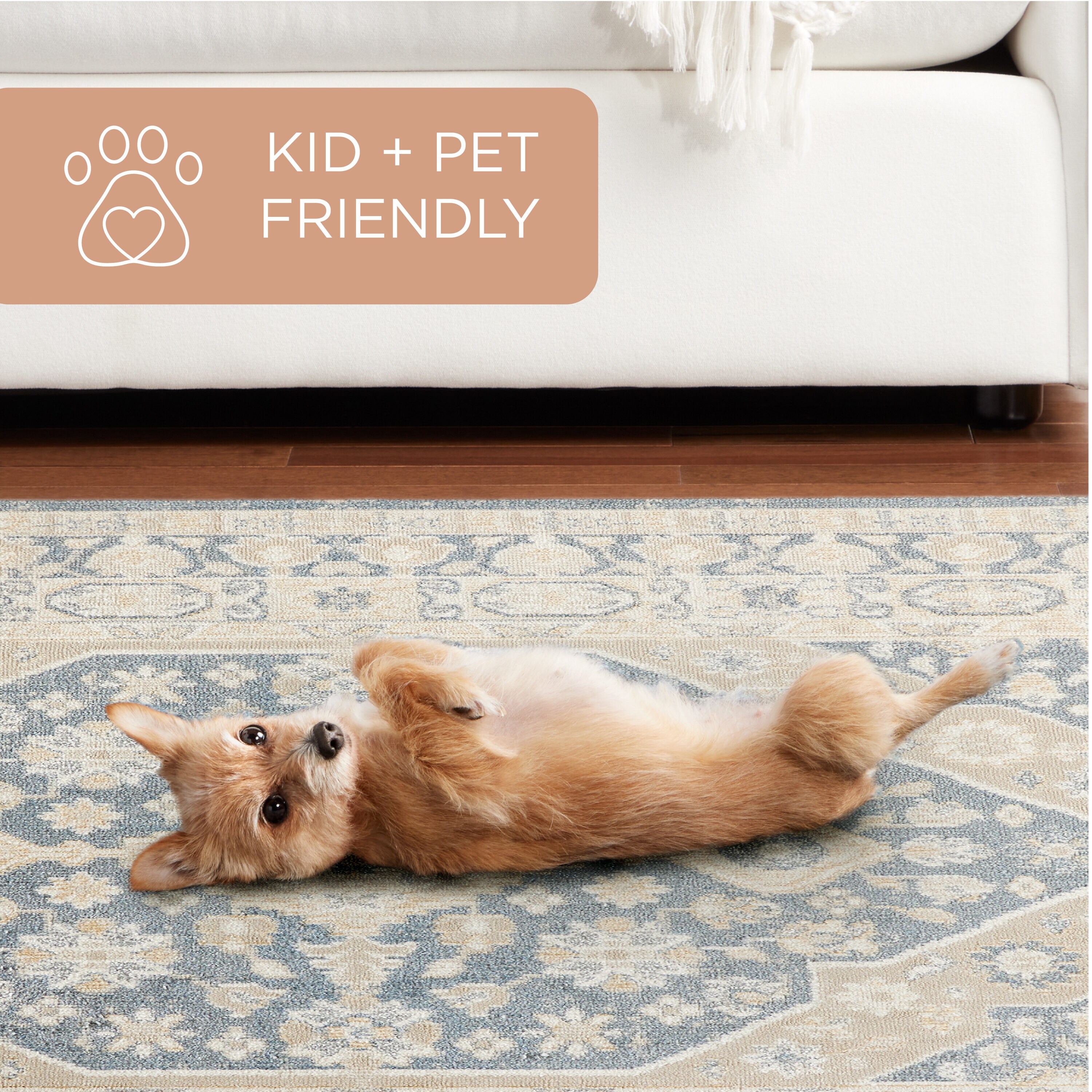 Town & Country Living 2-17-209 rugs - View #4