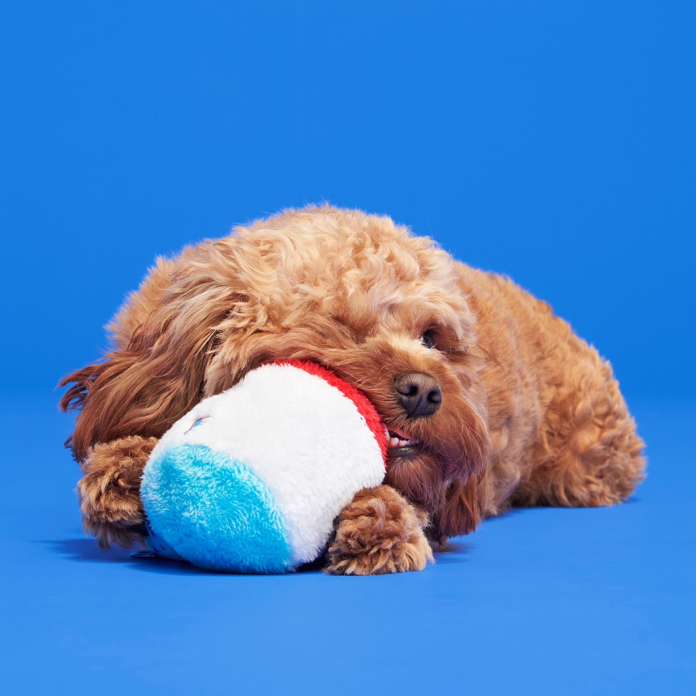 BARK 214267 Dog-Toys - View #3