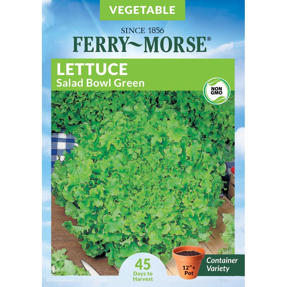 Ferry-Morse 442363.158.906865 800-mg Lettuce Salad Bowl Vegetable (Seed Packet)