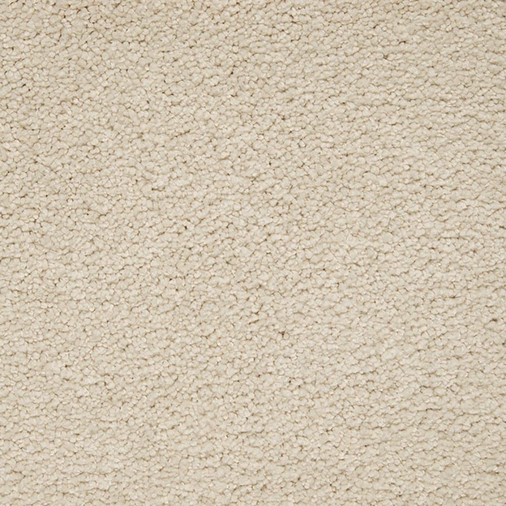 STAINMASTER PetProtect STP55-L005-0808 (Sample) Purrfectly Pampered Antique Ivory Brown 60-oz sq yard Triexta Textured Indoor Carpet