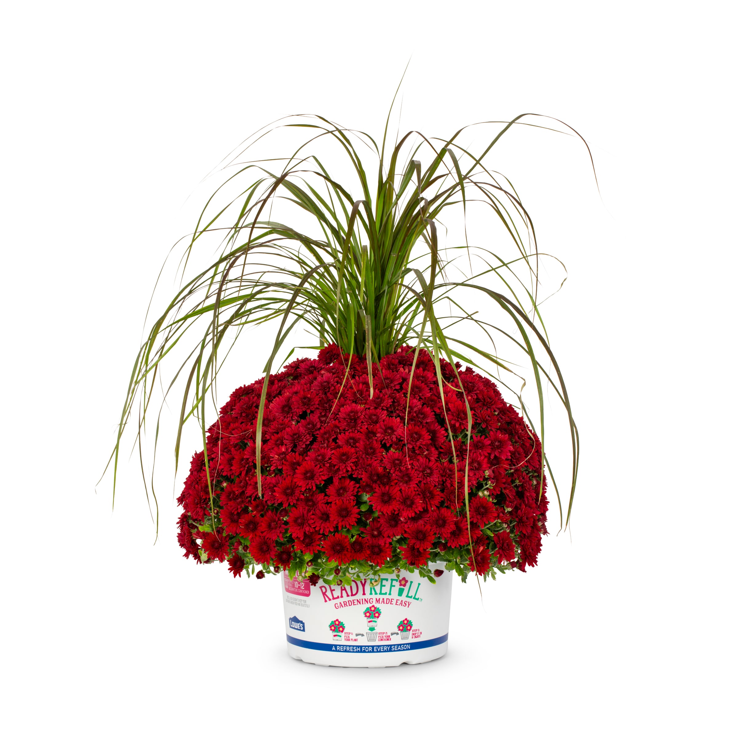 Ready Refill NURSERY Red Mum in 1.5-Gallon Pot