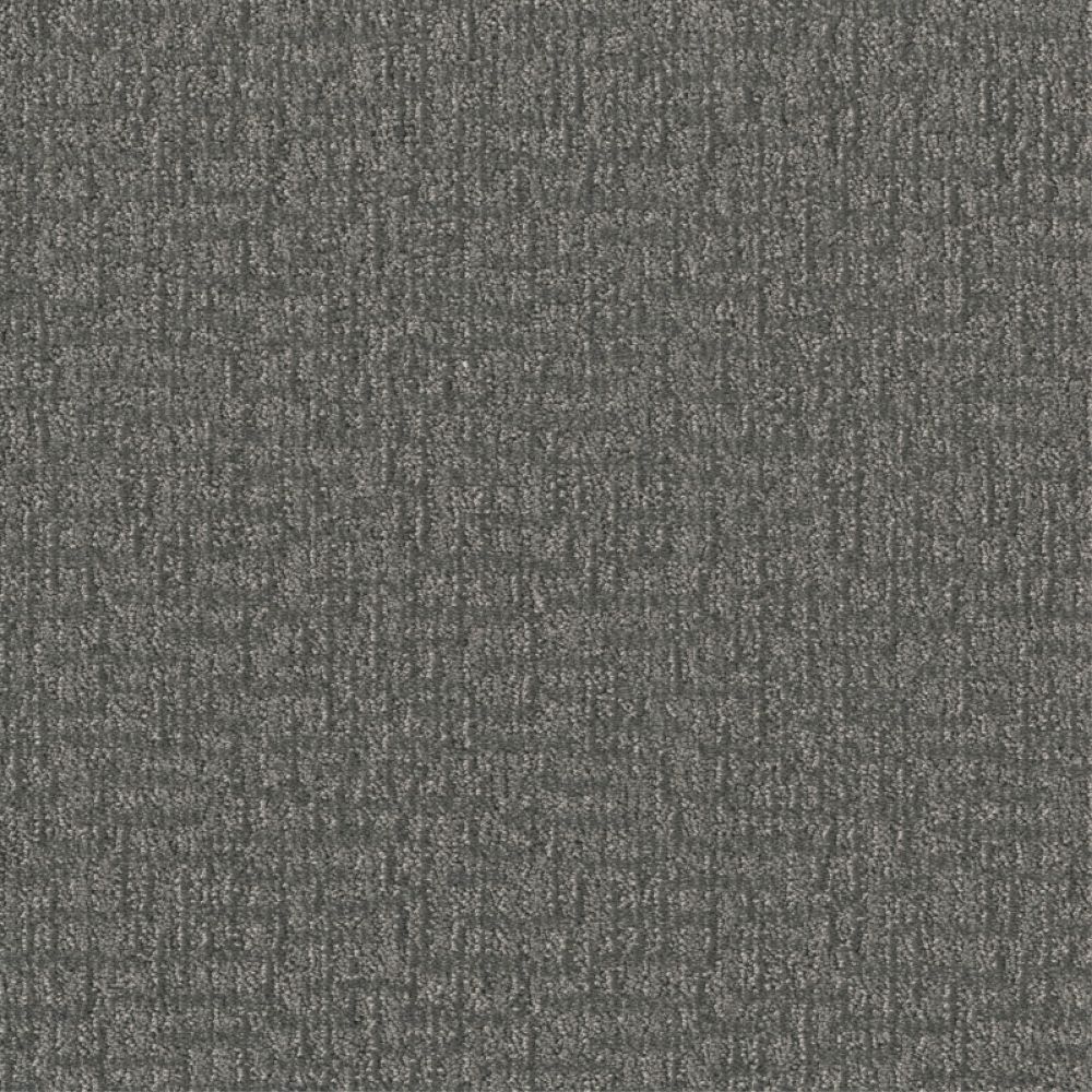 STAINMASTER S9536-988-1200-MO Catwalk Modern Gray 36-oz sq yard Polyester Pattern Indoor Carpet