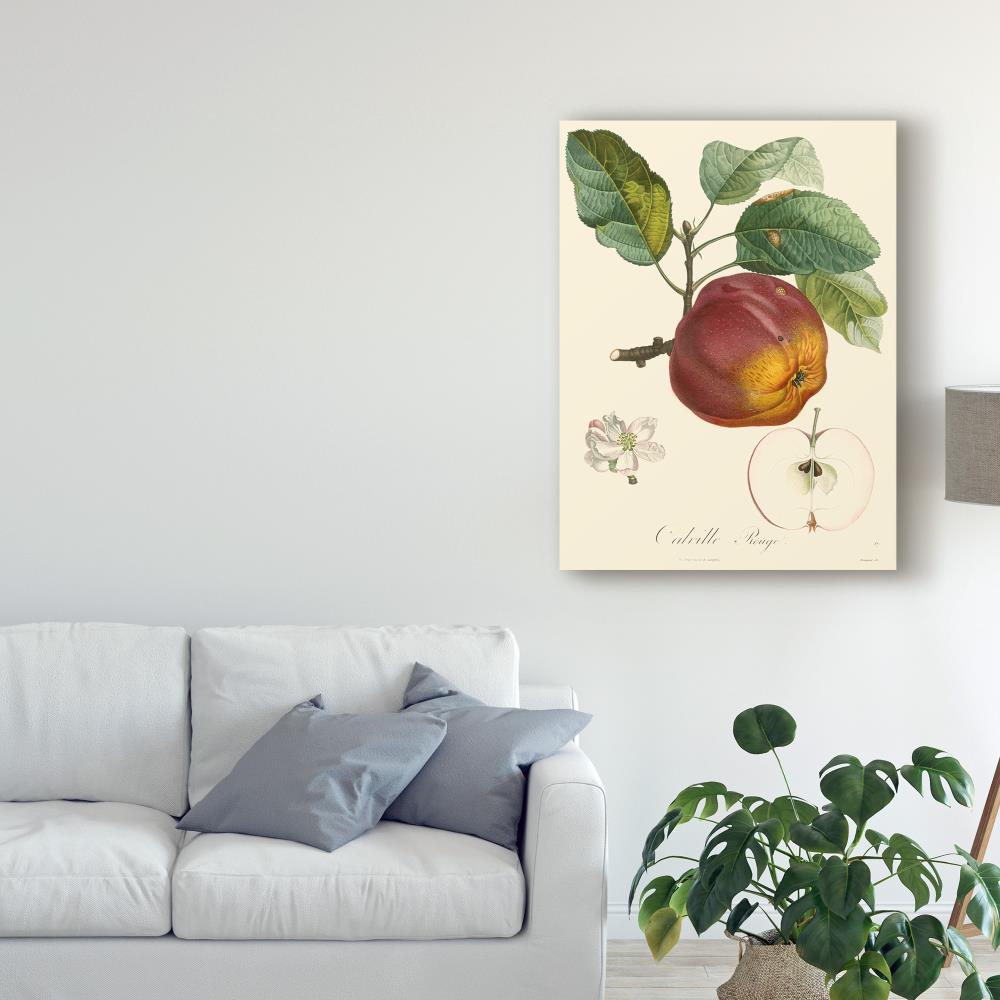 Trademark Fine Art WAG03928-C3547GG Wall-Art - View #3