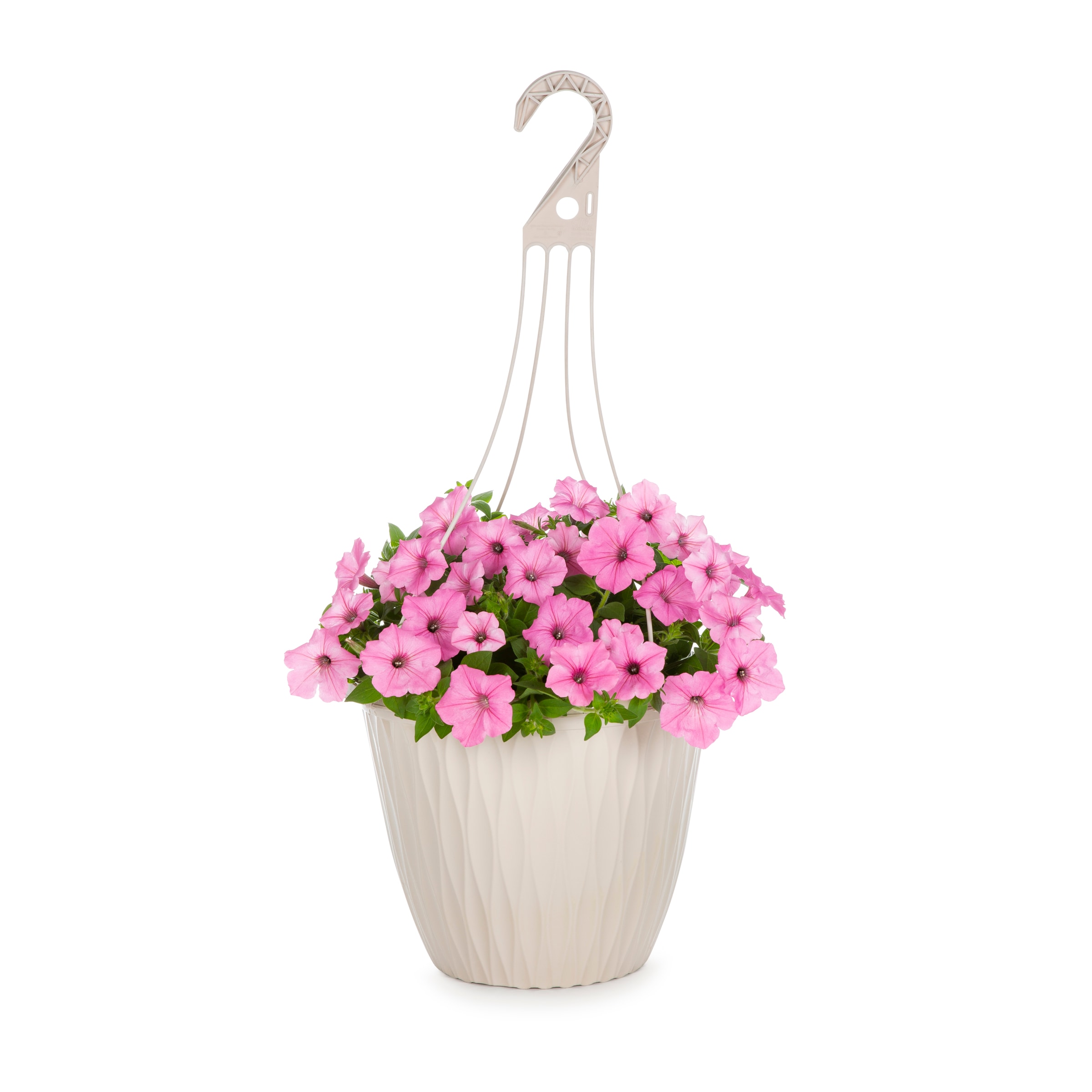 Lowe's Multicolor Supertunia Mix in 2.5-Gallon Hanging Basket in the ...