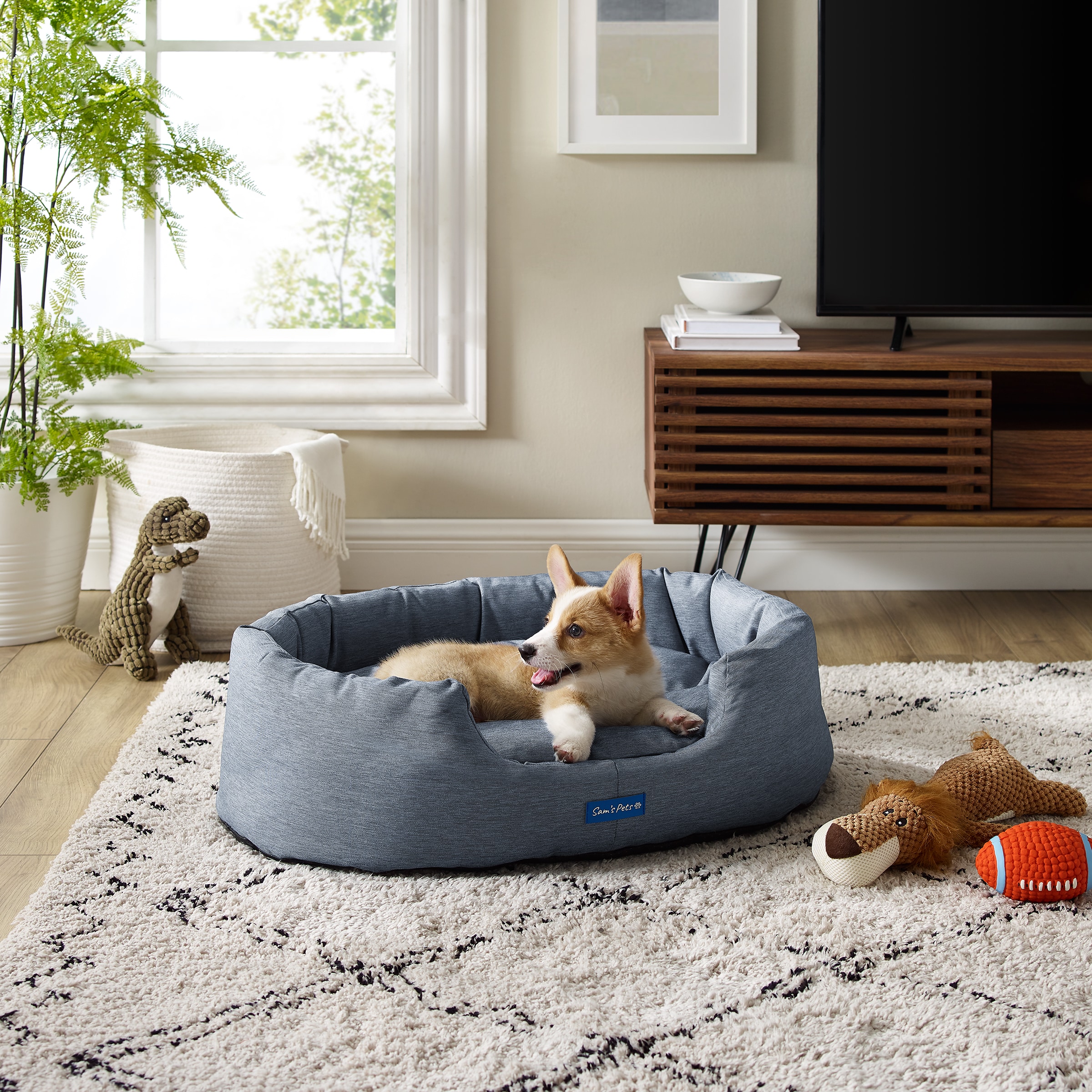 Sams hotsell dog bed