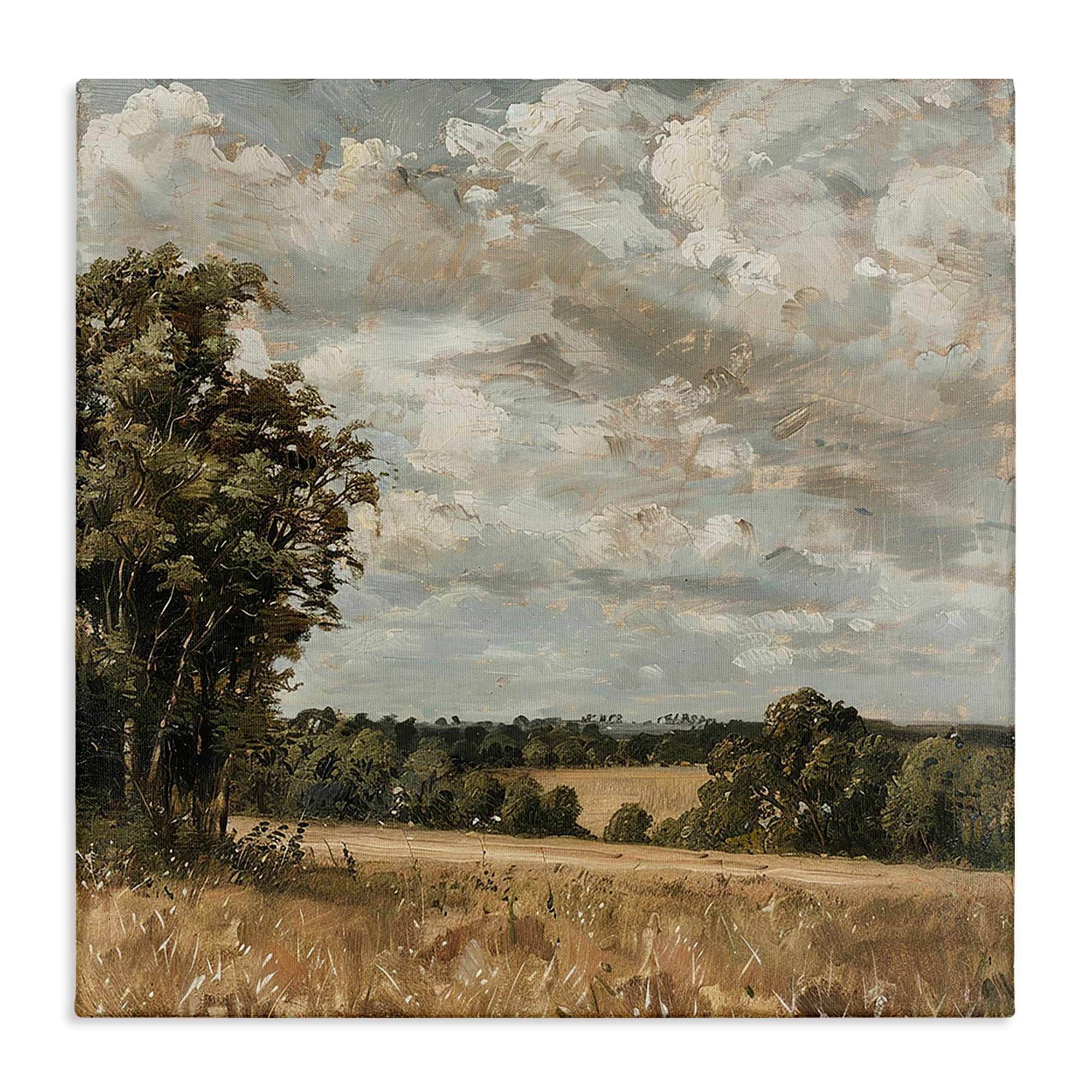 Stupell Industries BT-785-CN-17X17 Clouds Over Country Scenery Canvas design by LSR Creative Studio