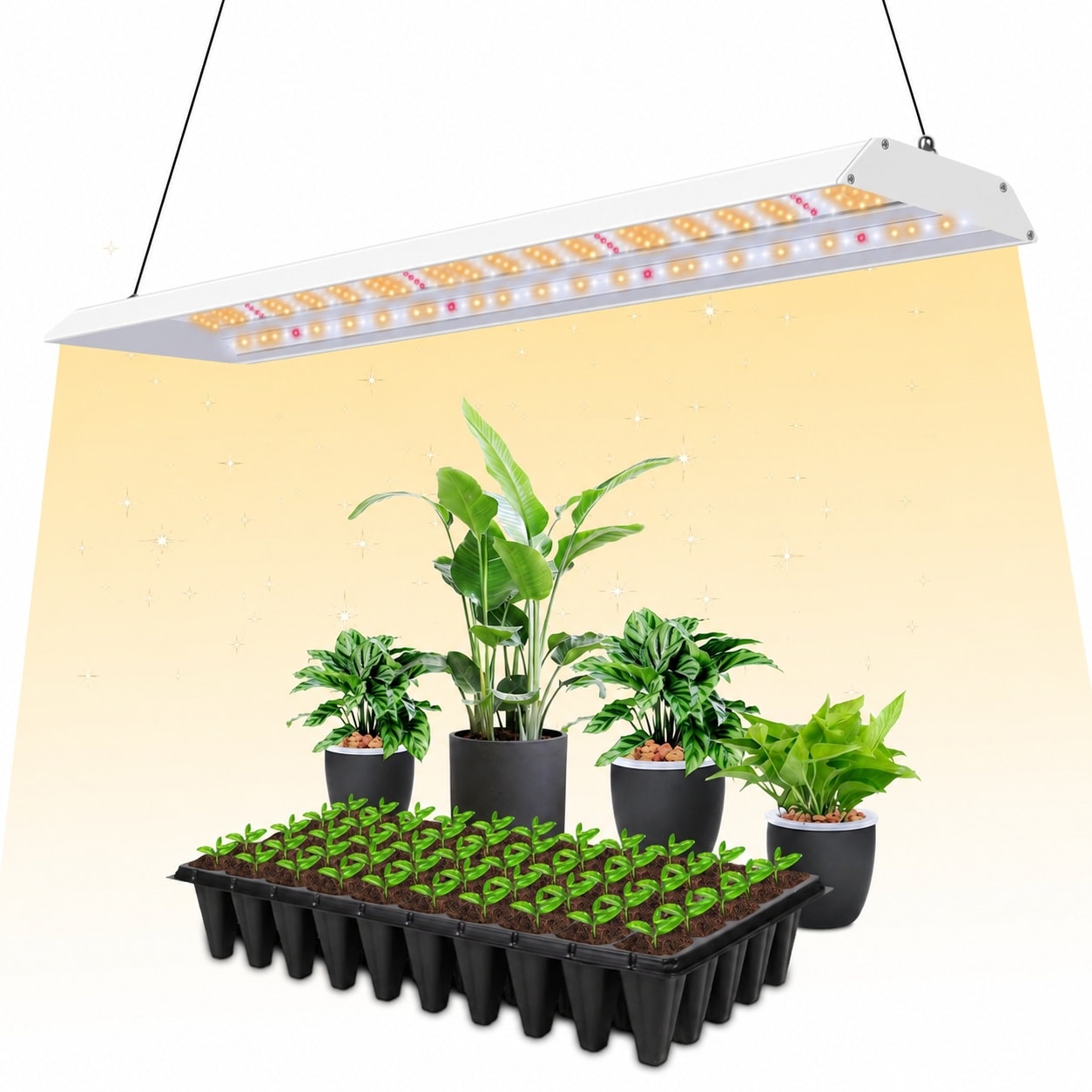 AOIZGMY Full Spectrum LED Grow Light for Indoor Plants 60W with Timer ...