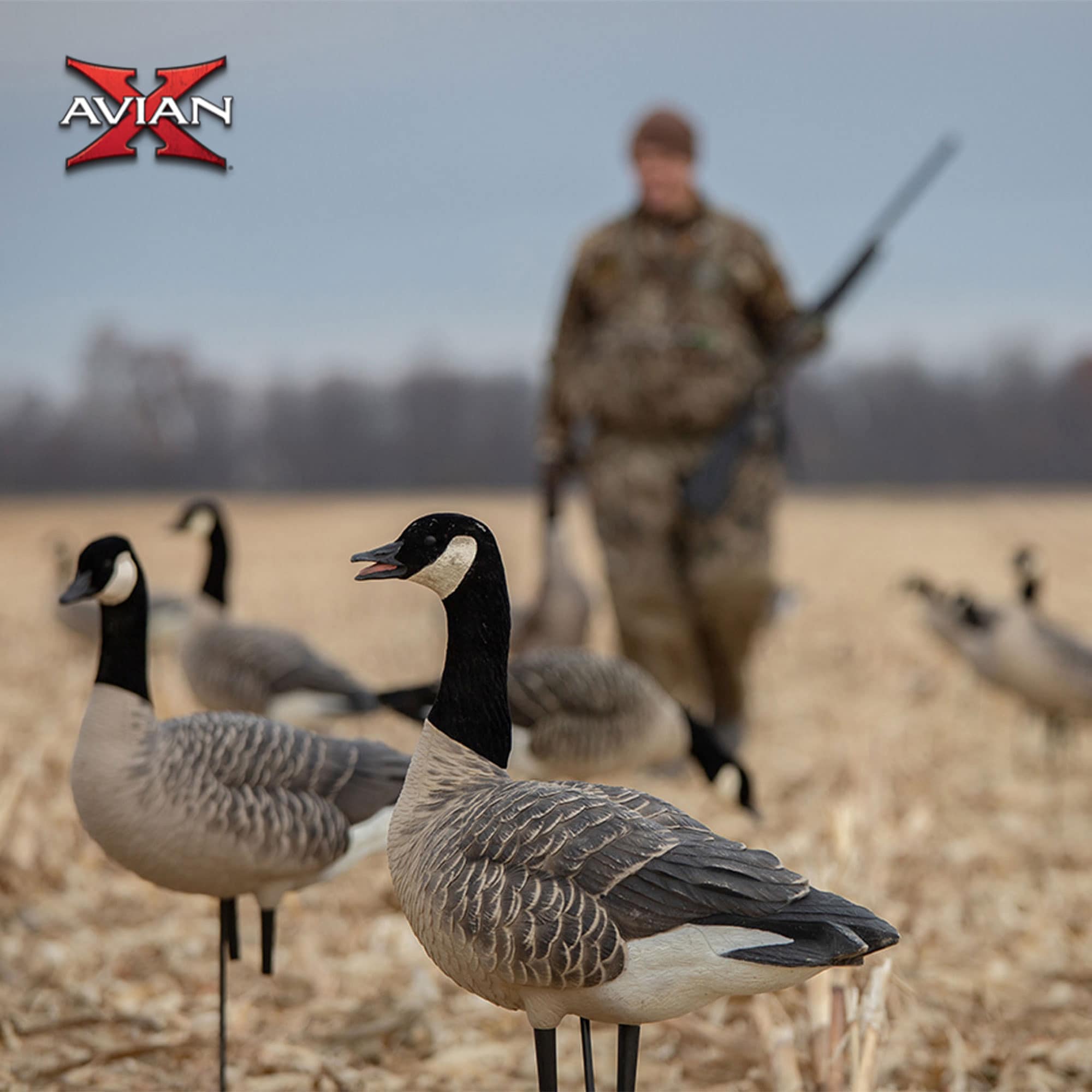  Avian X 399283 Hunting-Equipment - View #6