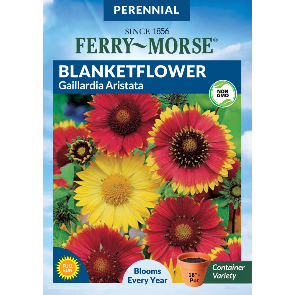 Ferry-Morse Cosmos Dwarf Cutesy Flower Seeds (Seed Packet) 330-mg