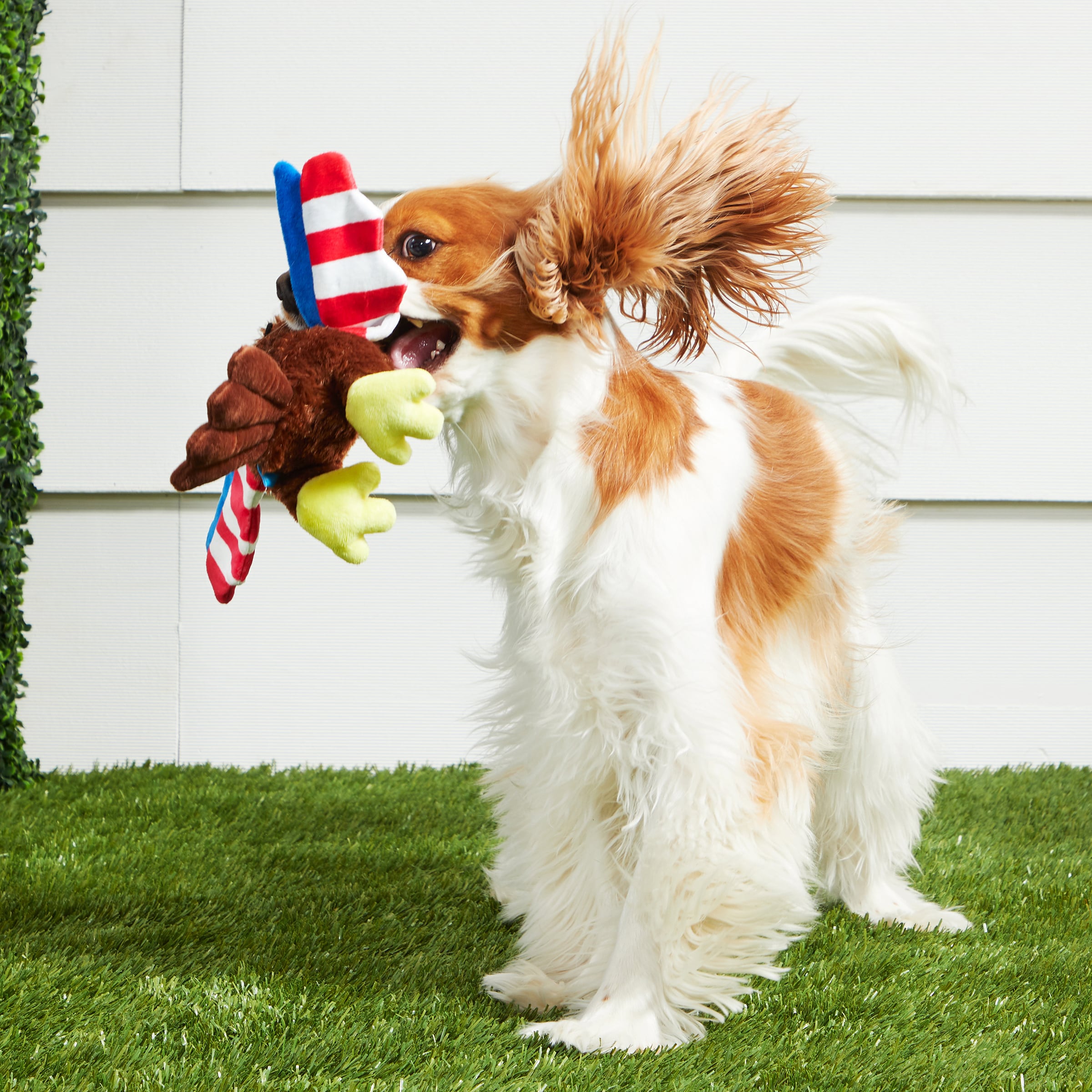 BARK 3782345 Dog-Toys - View #3