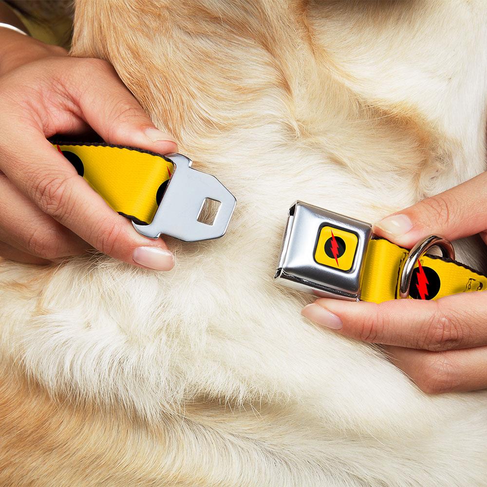 Buckle-Down DC-WFL011-WS Dog-Collars-Harnesses - View #2