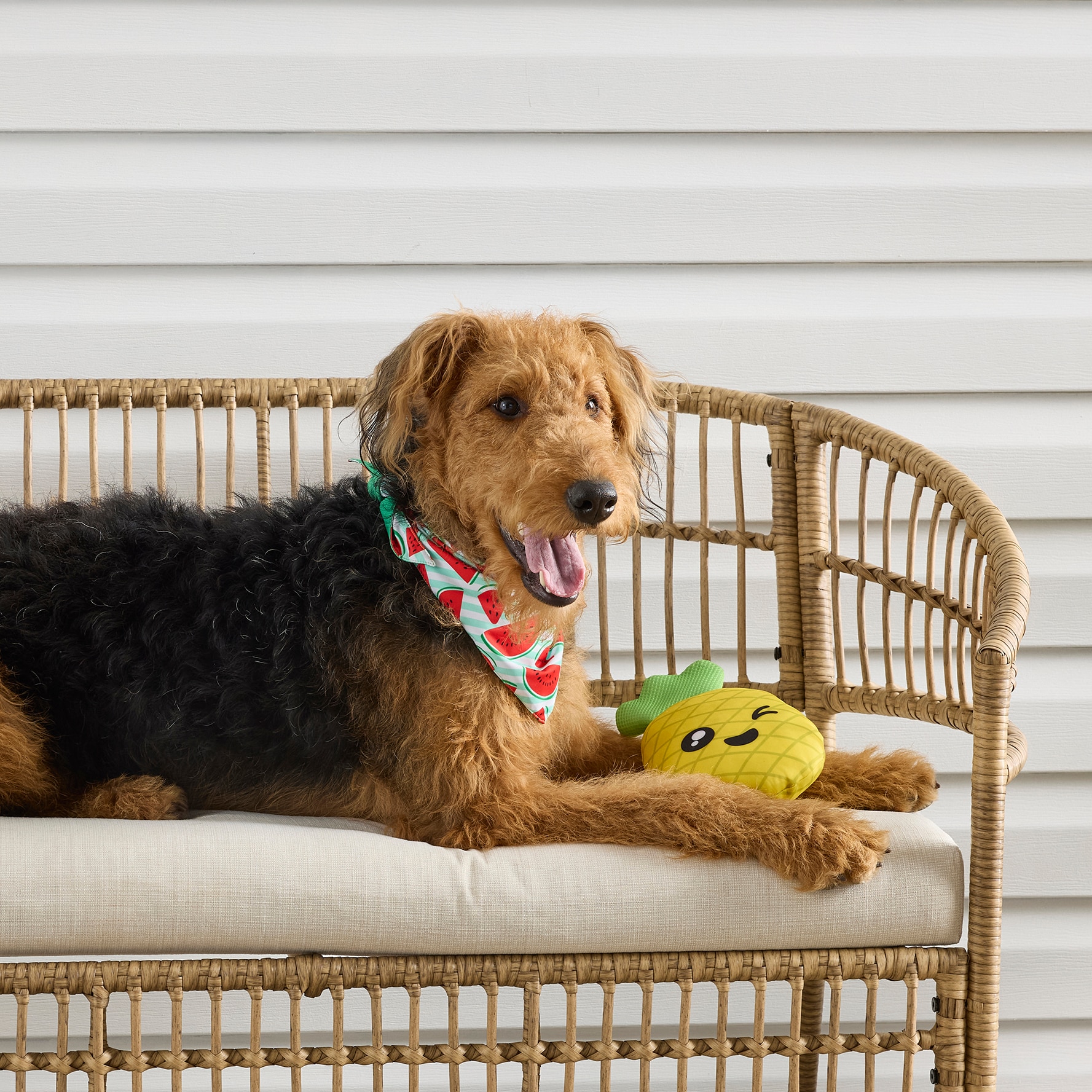 Heart & Herd YC26401 Dog-Toys - View #6