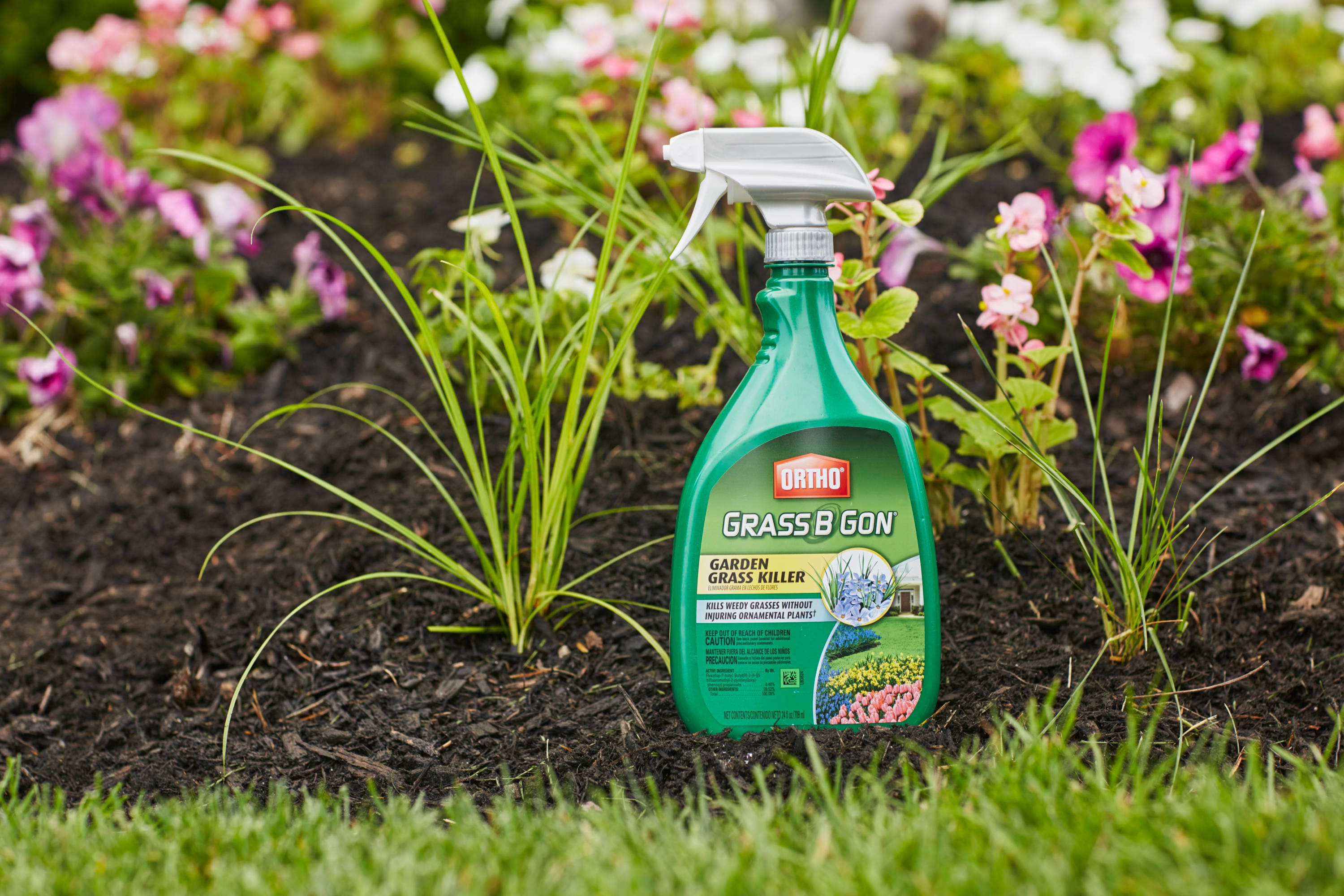 ORTHO 0438560 Weed-Killers - View #4