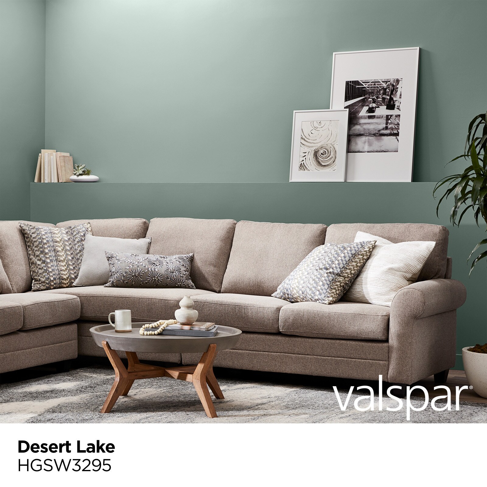 Sherwin Williams Desert Lake