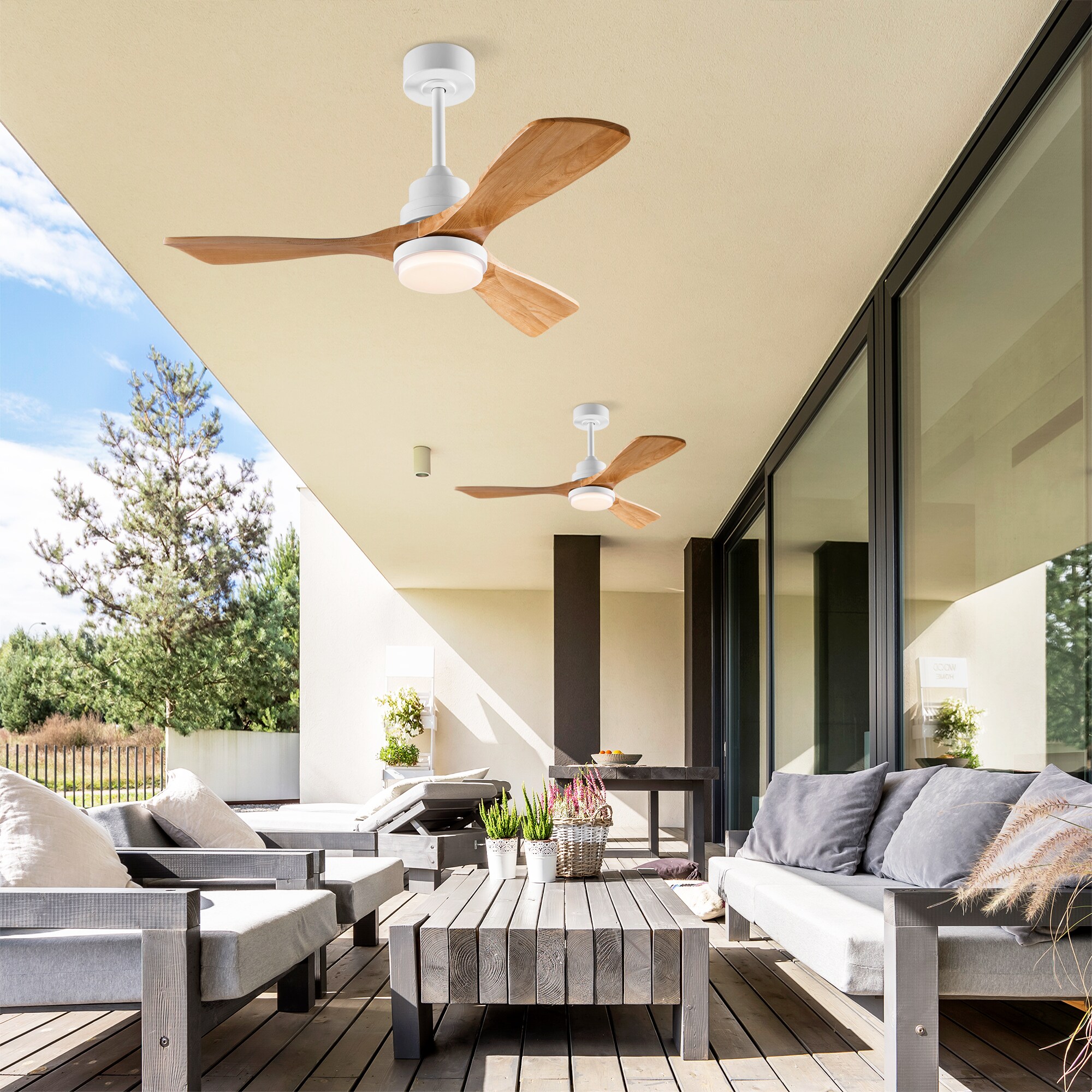JUSHUA MT-1P406911 Ceiling-Fans - View #2