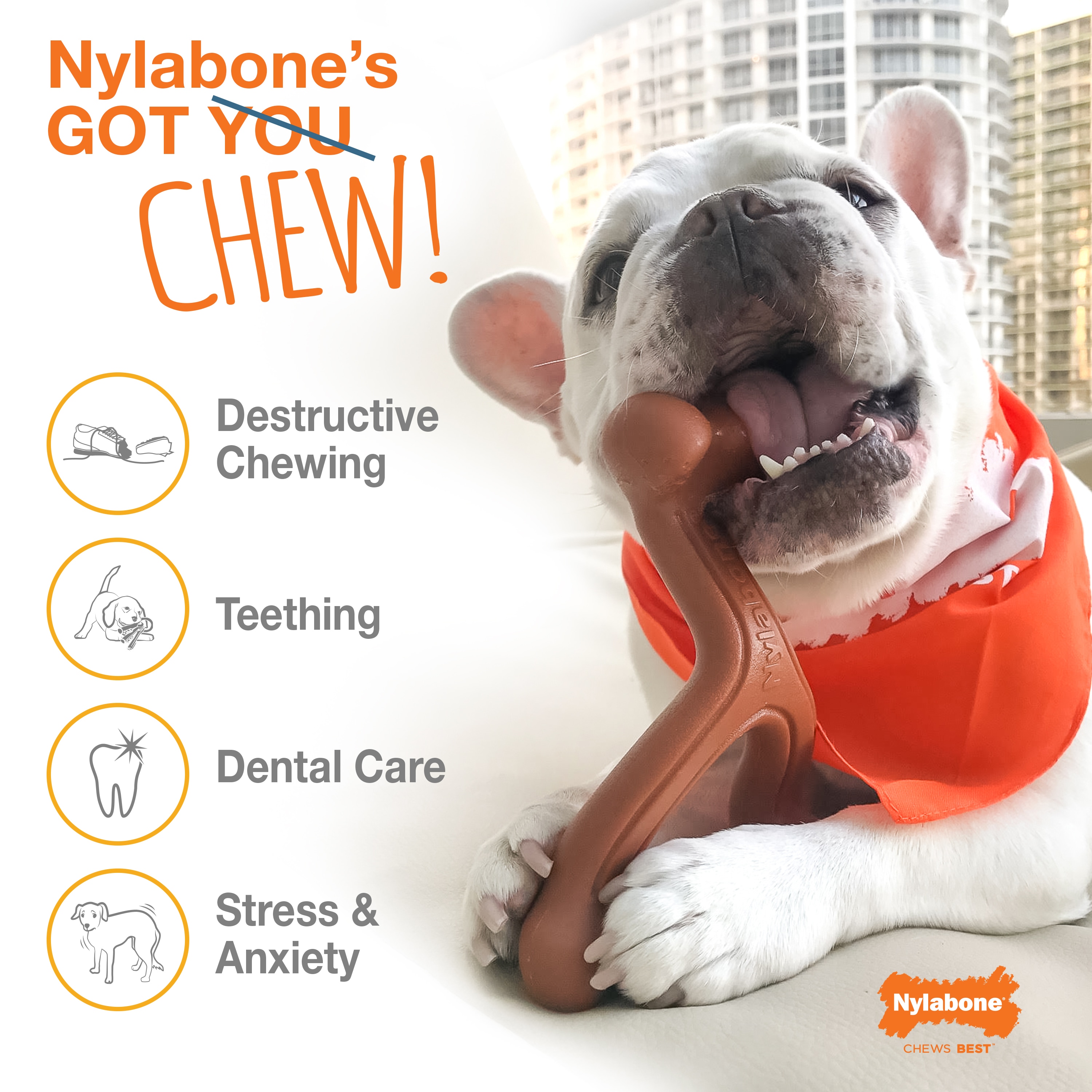 Nylabone NCF105WXW Dog-Toys - View #10