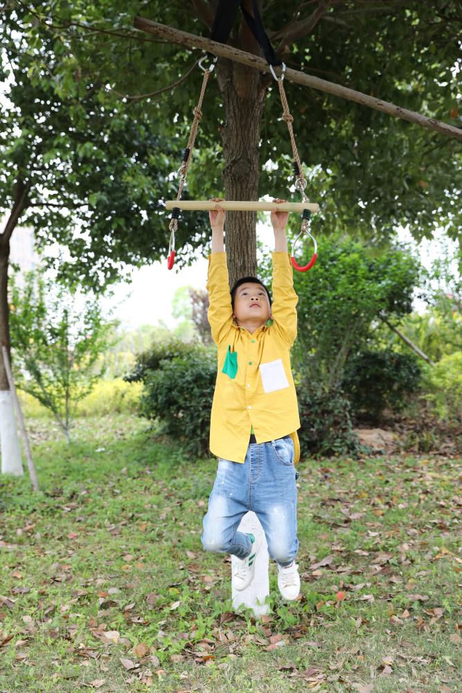 Playberg QI003372 Playset-Swings - View #5