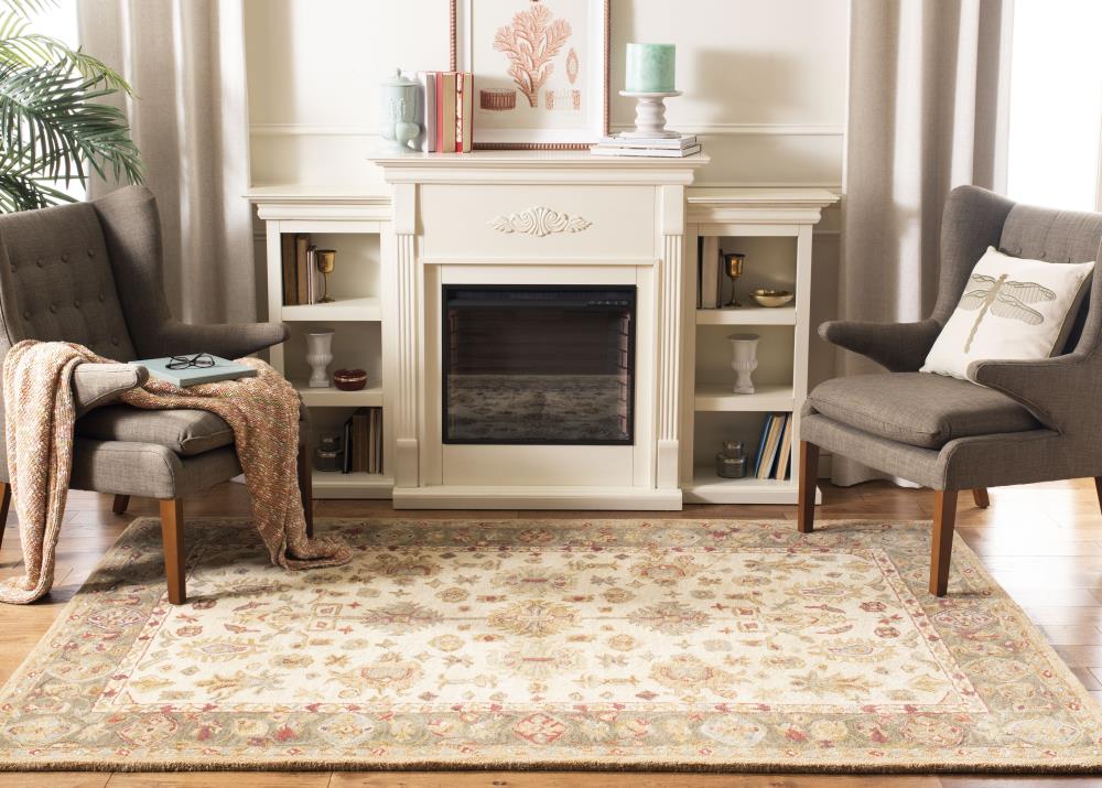 Safavieh AN547B-4 rugs - View #5