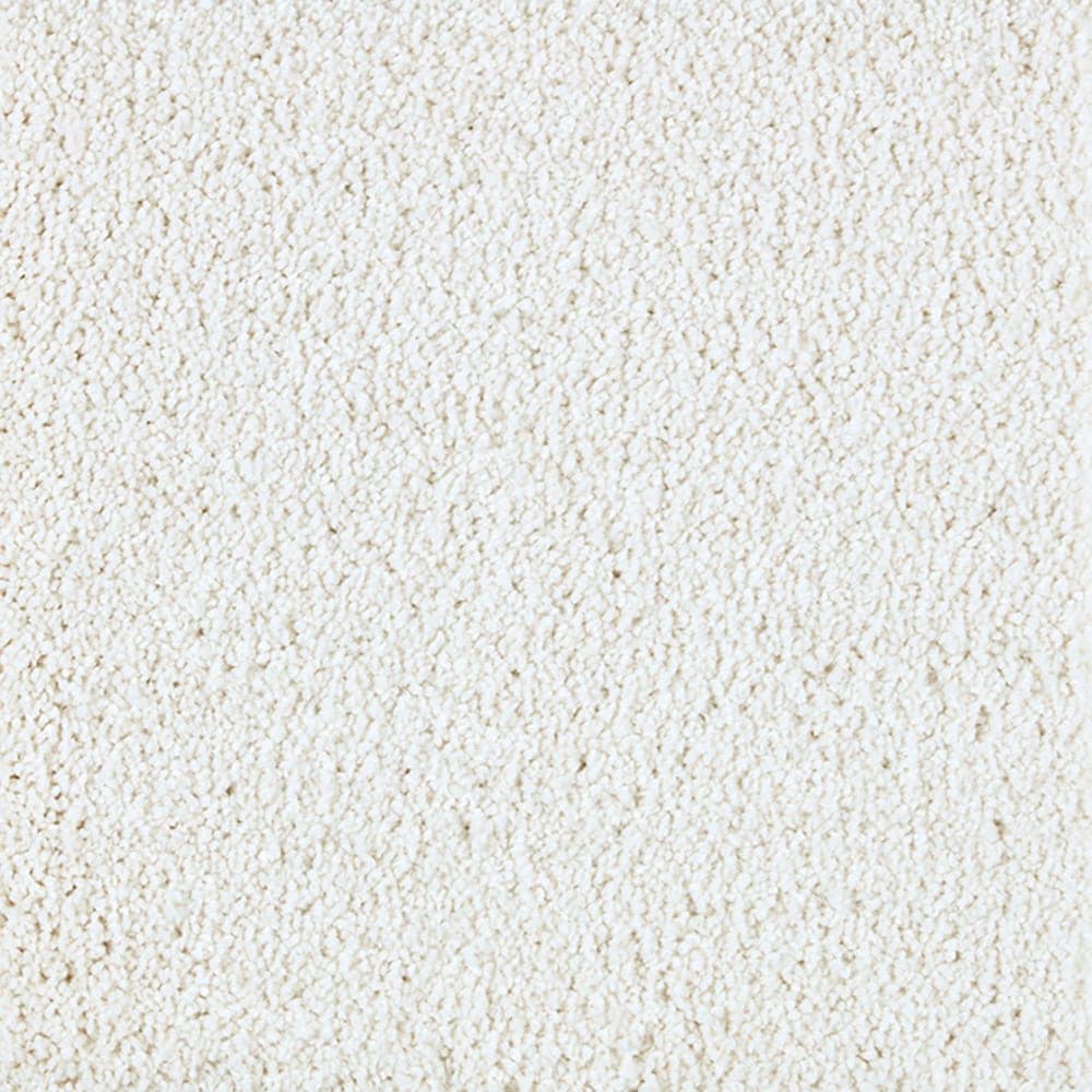STAINMASTER PetProtect STP45-L005-0808 (Sample) Alluring Splendor III Almost White Off-white 70-oz sq yard Triexta Textured Indoor Carpet