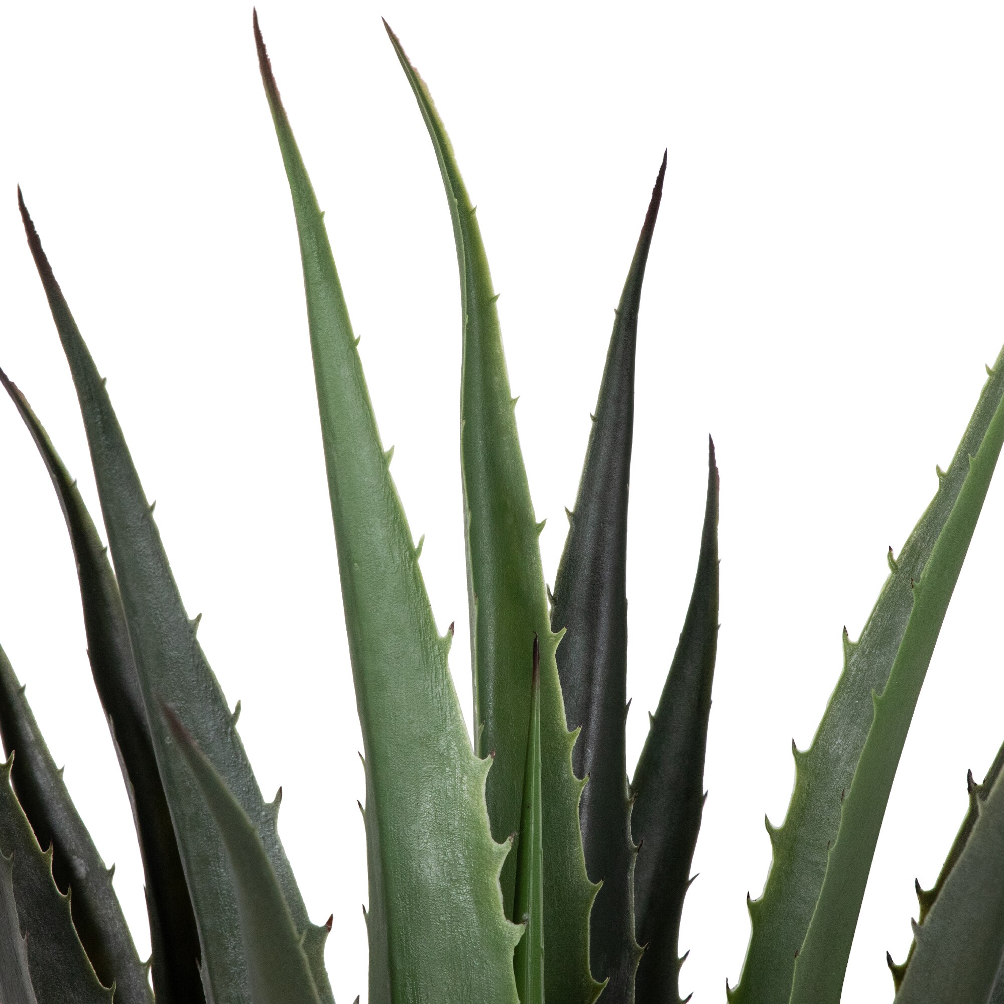 Northlight 32036242 Artificial-Plants-Trees - View #3