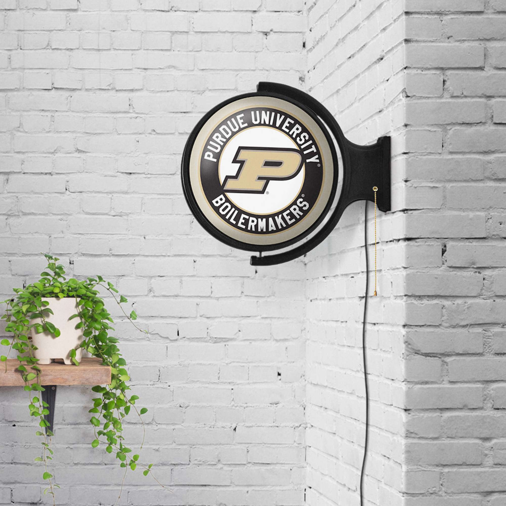 The Fan-Brand NCPURD-115-01 Neon-Signs - View #4
