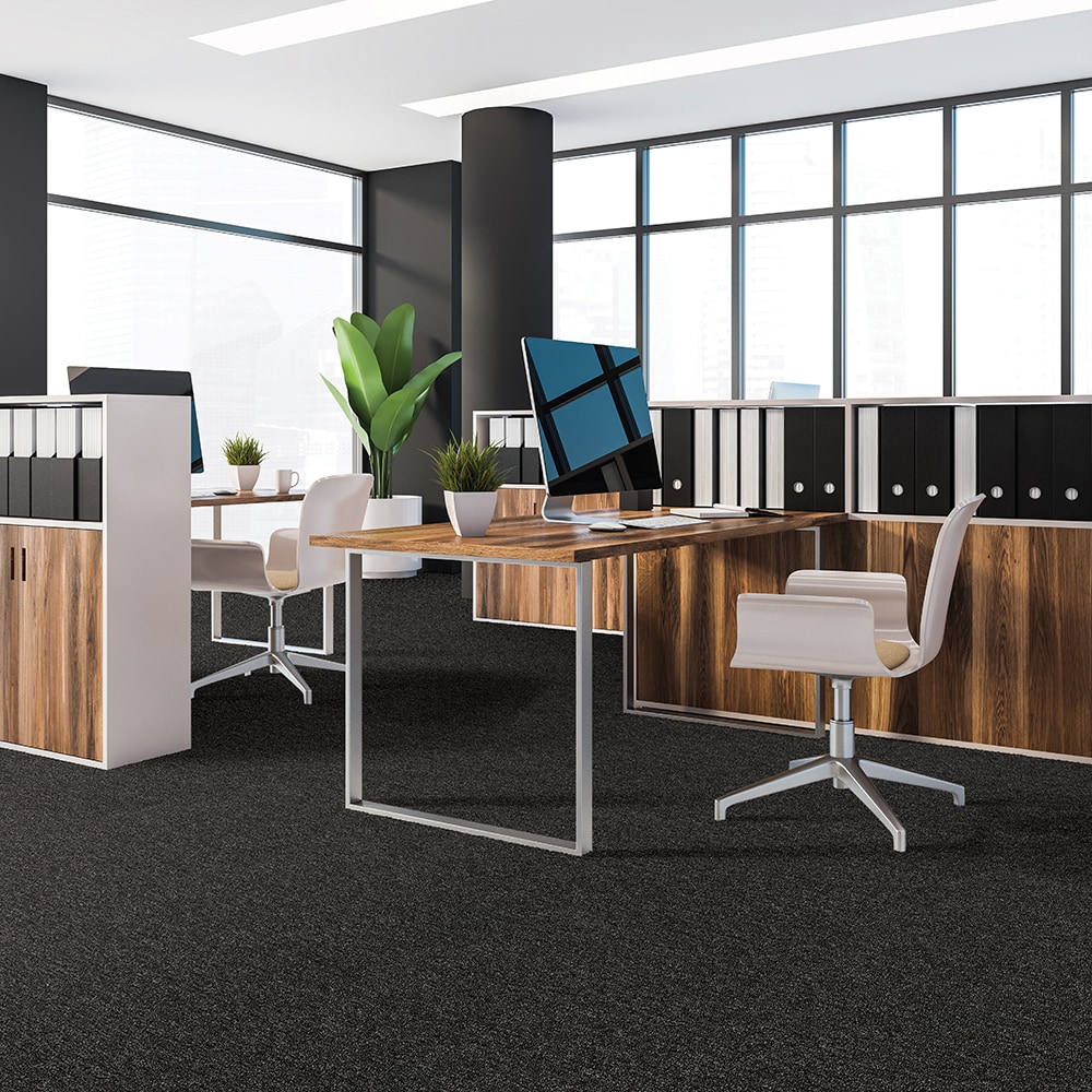  LC76-12-L001 Carpet-Panel - View #2