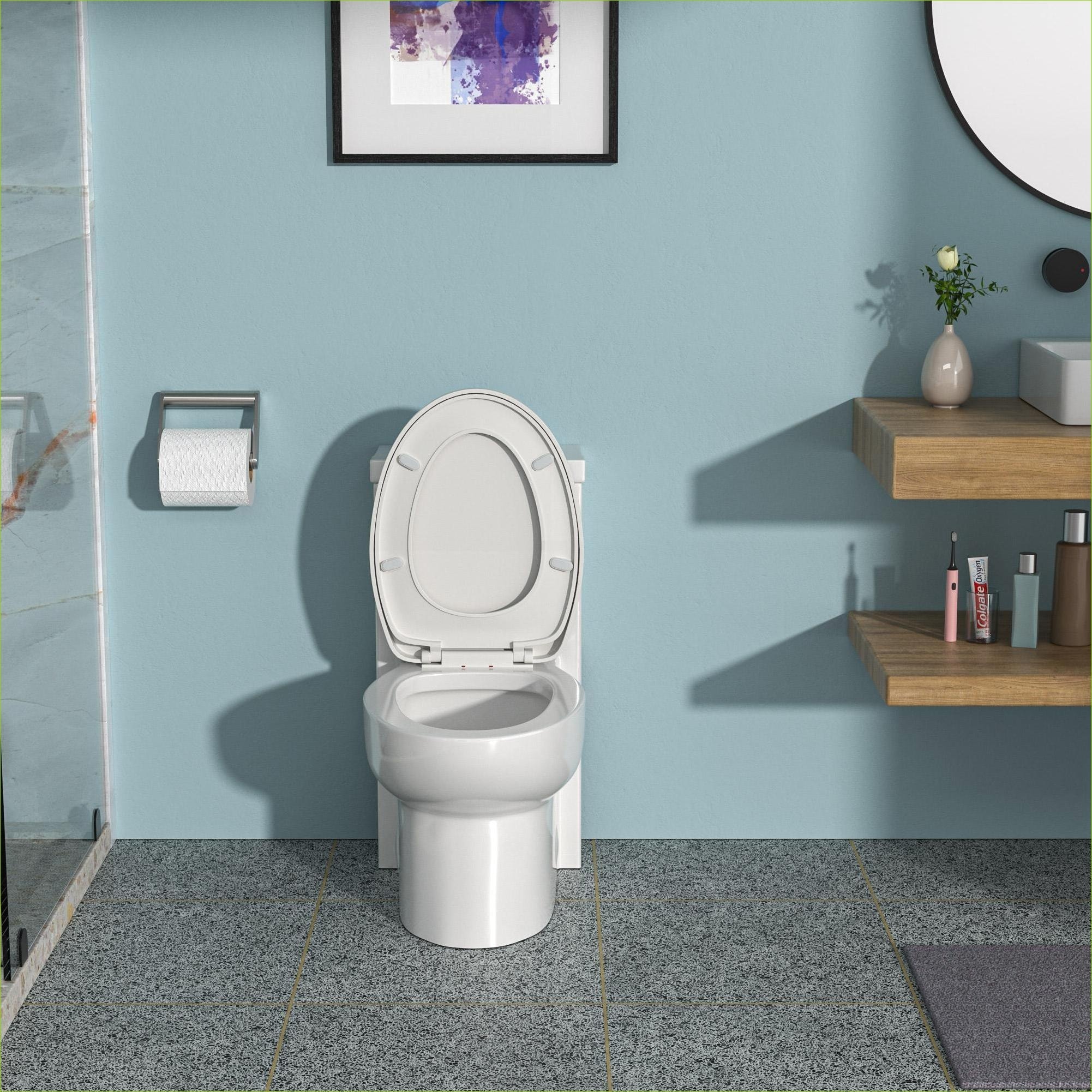 Watnature -  One-Piece Pearl White Ceramic Toilet Dual Flush 12 Inch Rough In with Soft Closing Seat