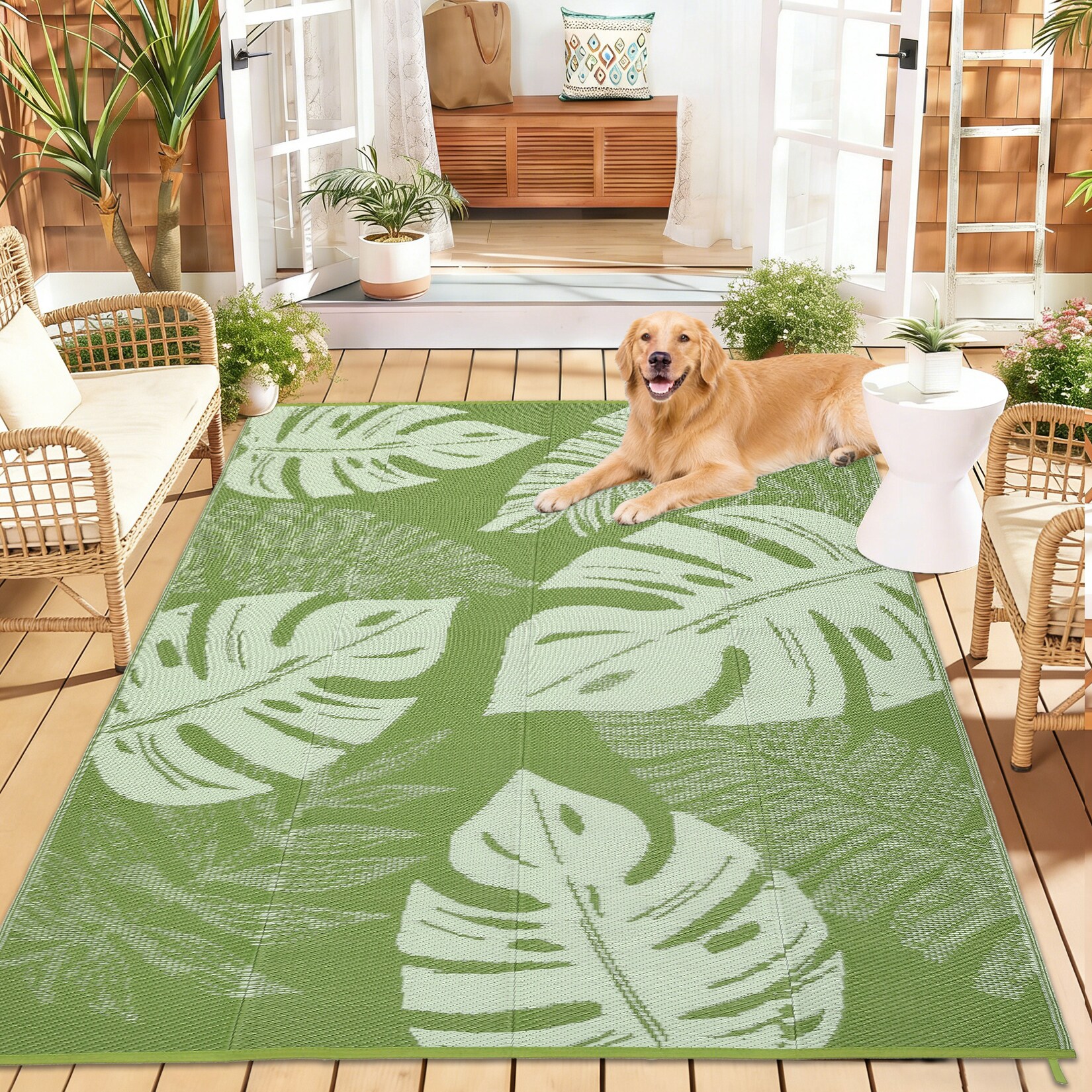 Garvee SUNNY-PHO-12MRRXIH rugs - View #6