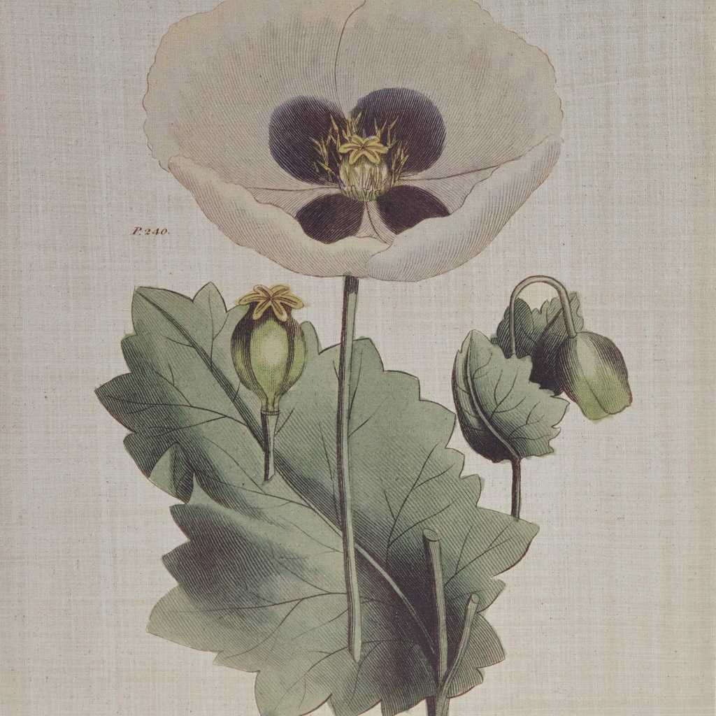 Vynxaria LESX0268-DJWA-GH0011 Wall-Art - View #4