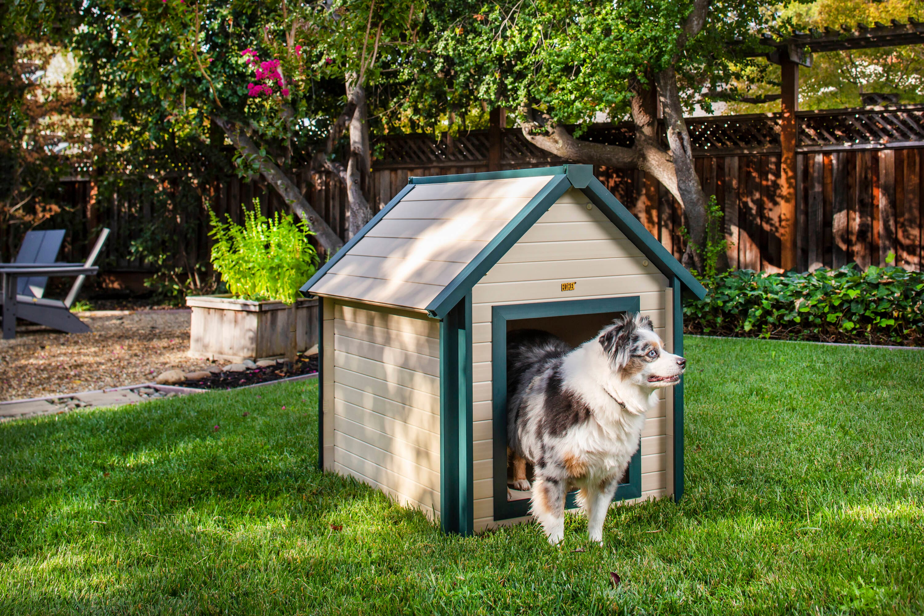 Dog houses outlet lowes