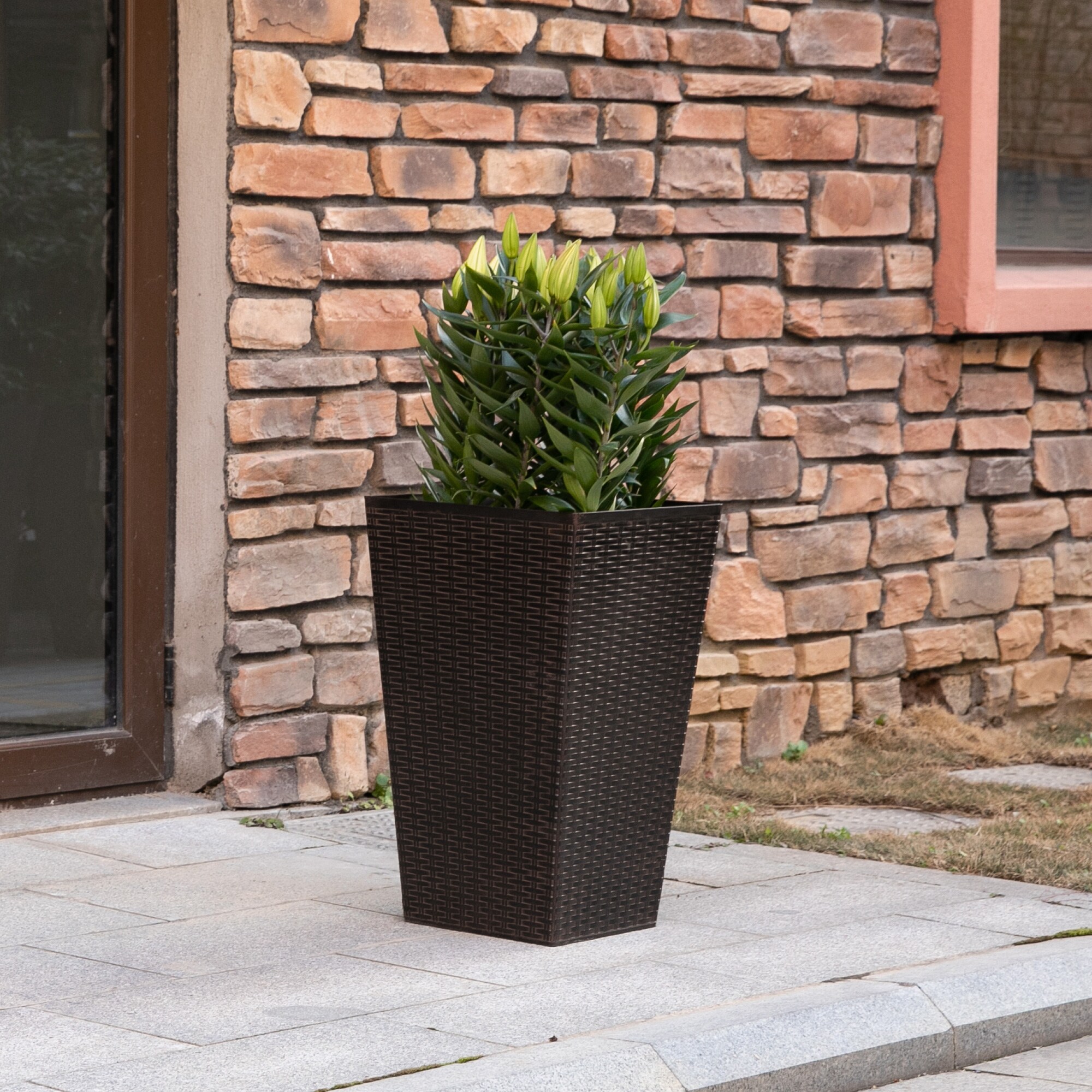 AHIOU HOME ZAAHG-P174481PP Planter-Window-Box - View #3