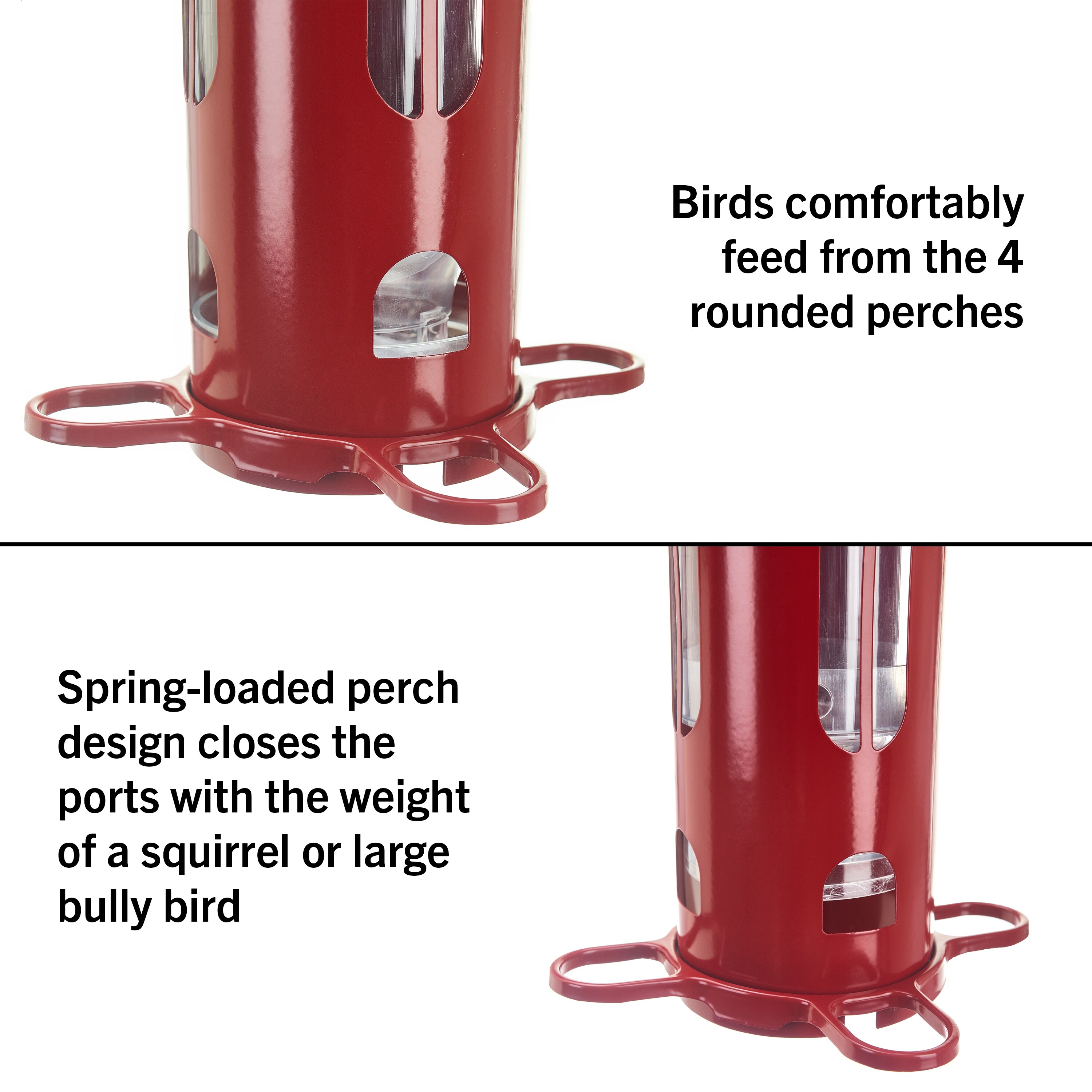 Squirrel-X X1 Squirrel-Resistant Bird Feeder with Spring-Loaded Perches -  4.2 lb