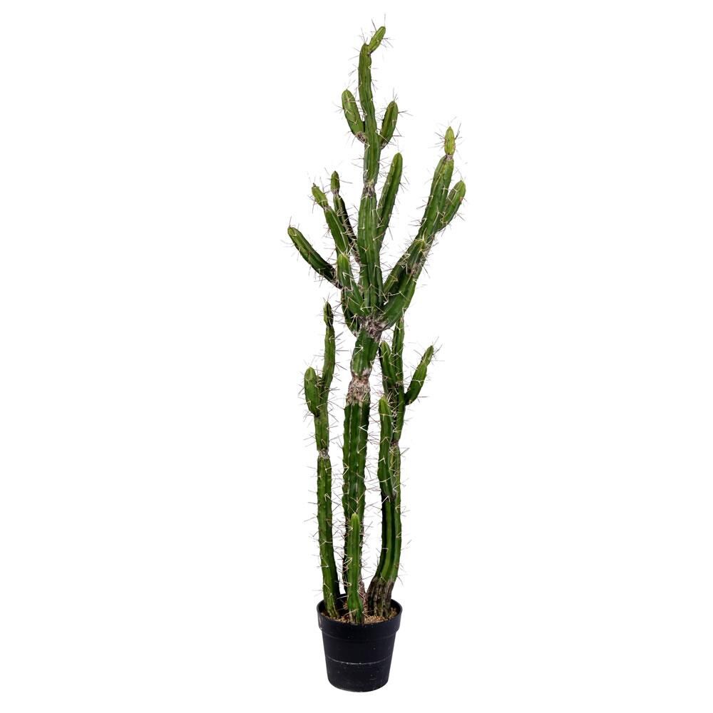 Vickerman 56-in Green Indoor Artificial Cactus Plants in the Artificial  Plants & Flowers department at Lowes.com