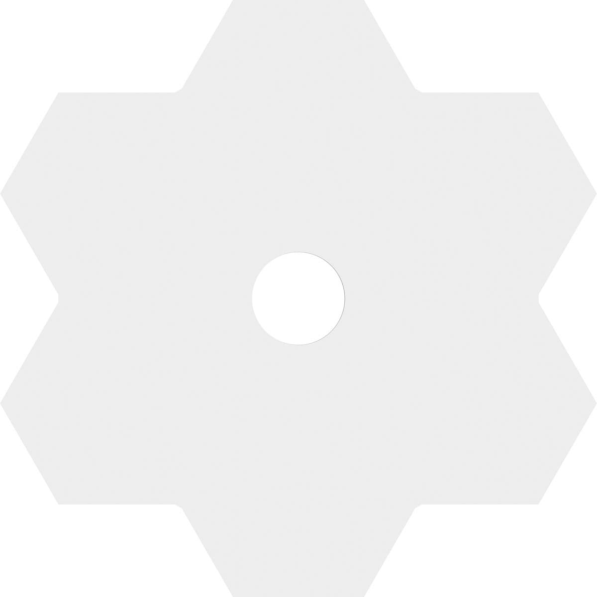 Ekena Millwork CMP20DY-03000 Ceiling-Medallions - View #4