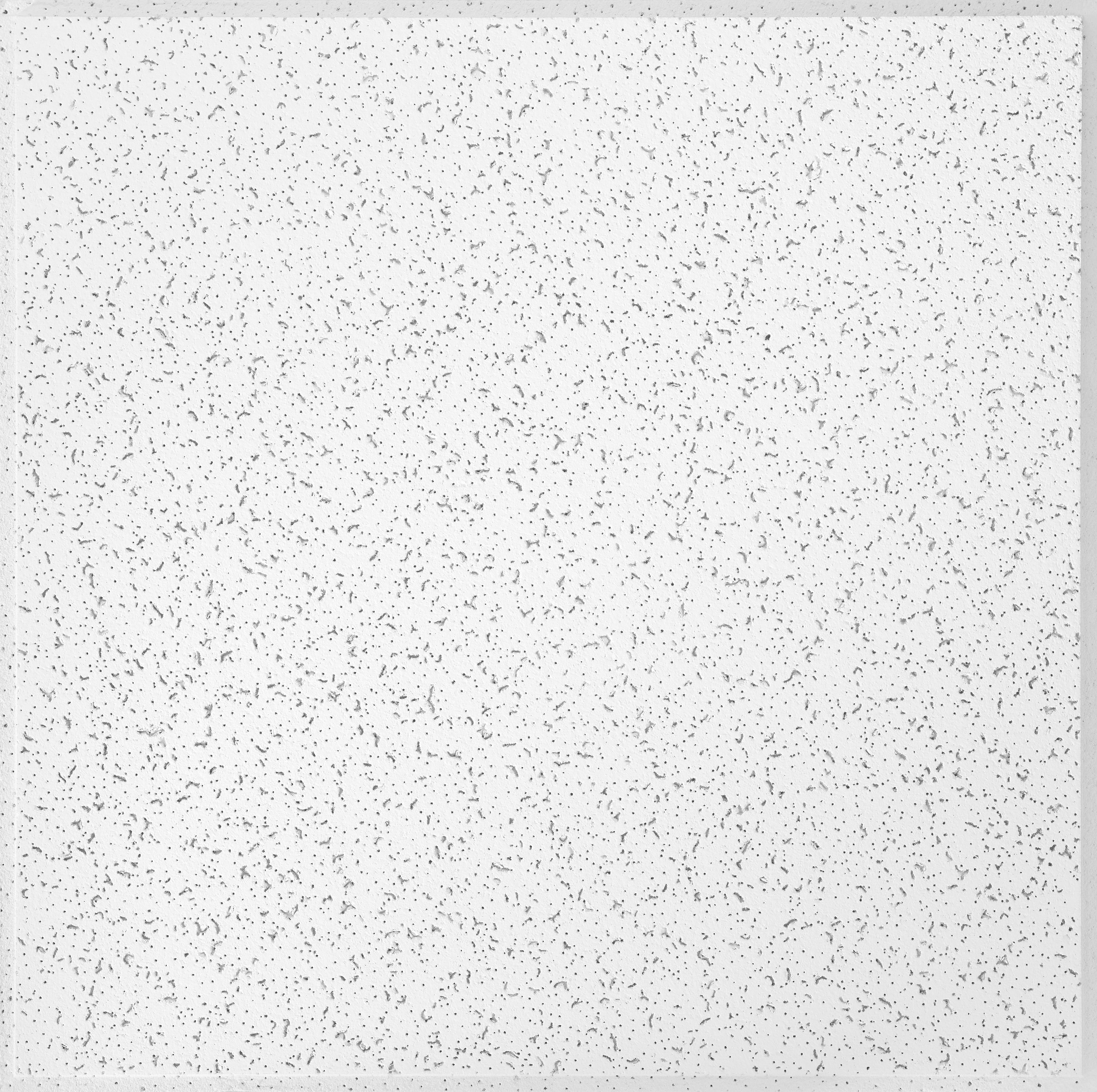 Armstrong Ceilings 2-ft x 2-ft Random Textured Contractor White Mineral Fiber Drop Ceiling Tile (16-Pack, 64-sq ft / Case)