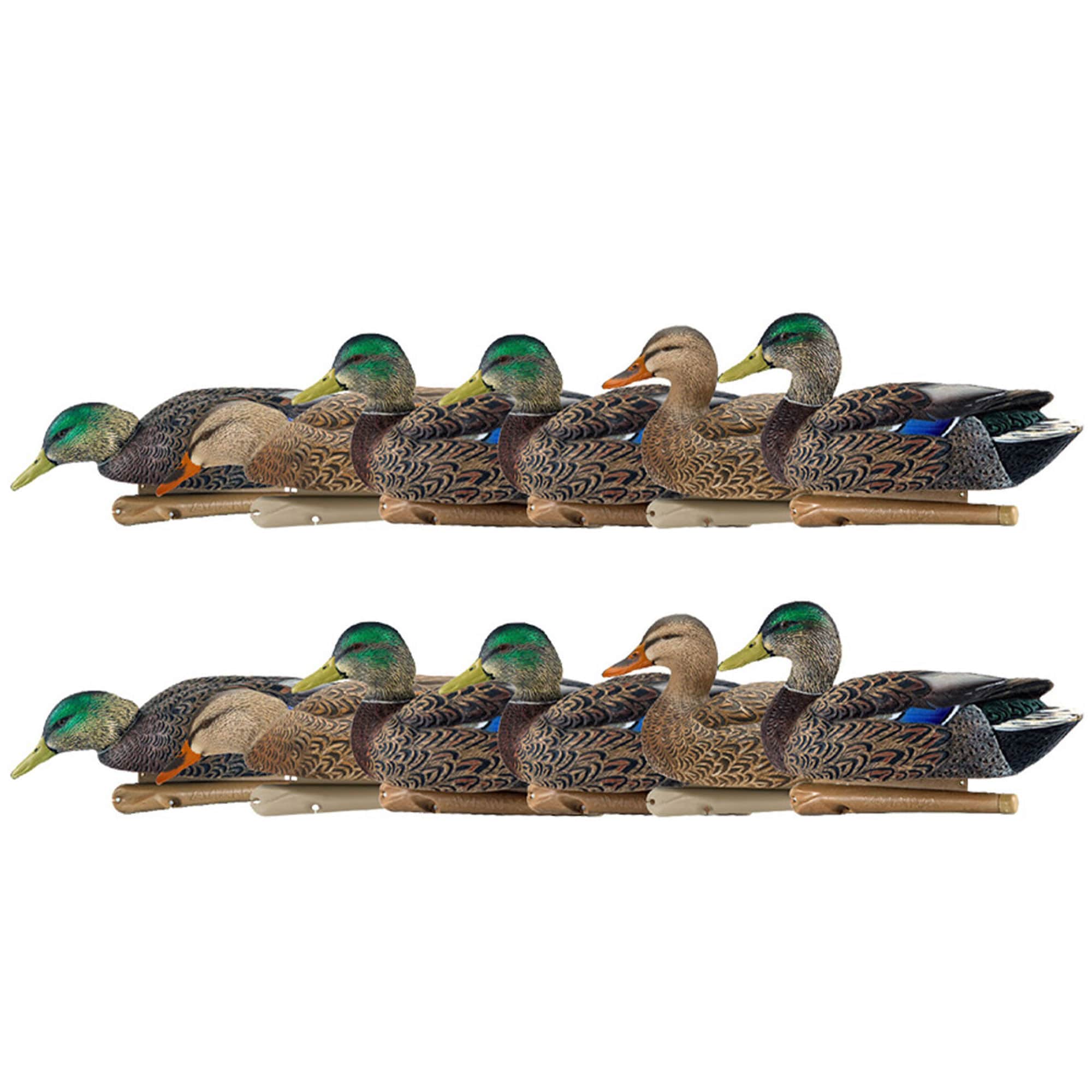  Avian X 408532 18.3 x 15.8 x 12.4 Inche(s) Decoy 12 -Pack