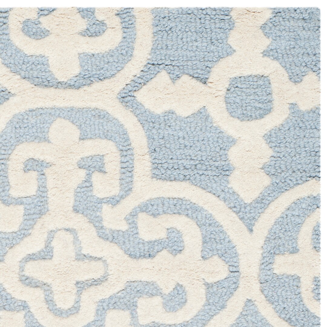 Safavieh CAM133A-24 rugs - View #5
